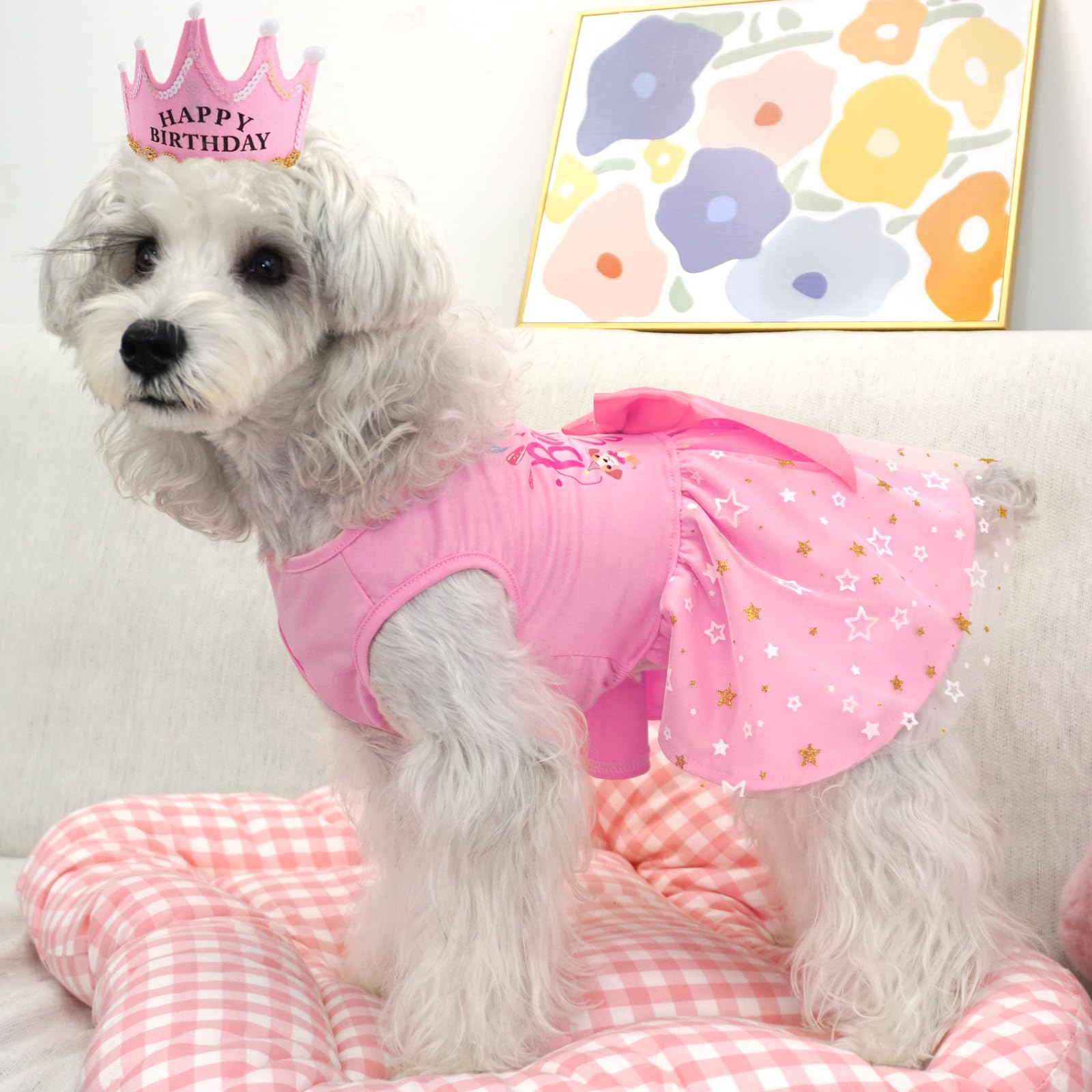 Xpudac Dog Birthday Dress Puppy Clothes For Small Dogs Girl Birthday Party Tulle Pet Outfit, Cat Appeal-X-Small
