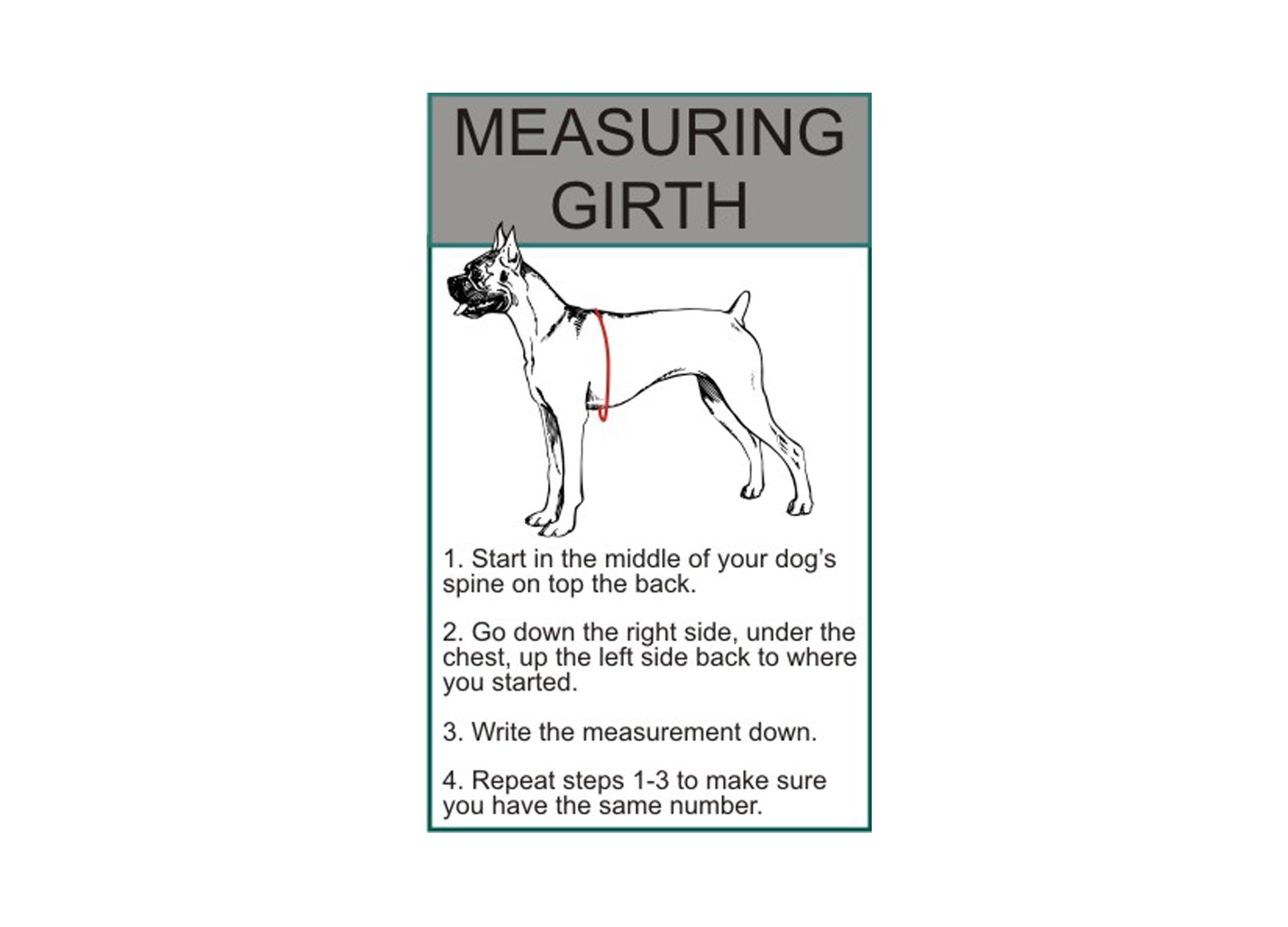 Set Of 2 Reflective Search & Rescue Patches For Service Dog Harnesses & Vests. (Medium 4' X 1.5')