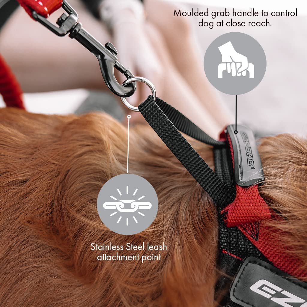 Ezydog Express Dog Harness | Dog Harness For Small, Medium And Large Dogs, Angled Ergonomic Design, Moulded Grip Handle, Easy Release Side Buckle (S, Black)