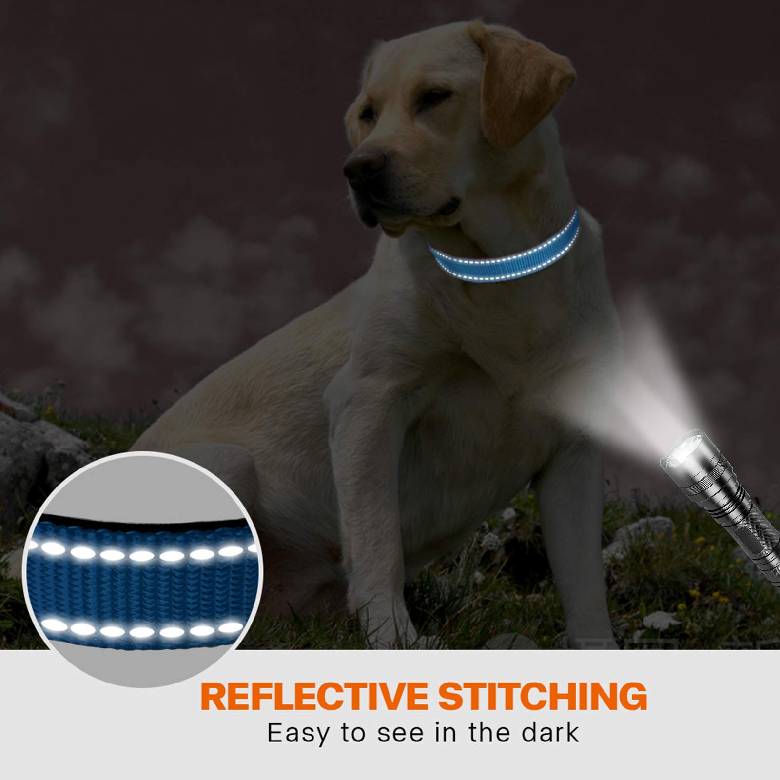 Taglory Reflective Dog Collar With Safety Locking Buckle, Adjustable Nylon Pet Collars For Large Dogs, Light Blue