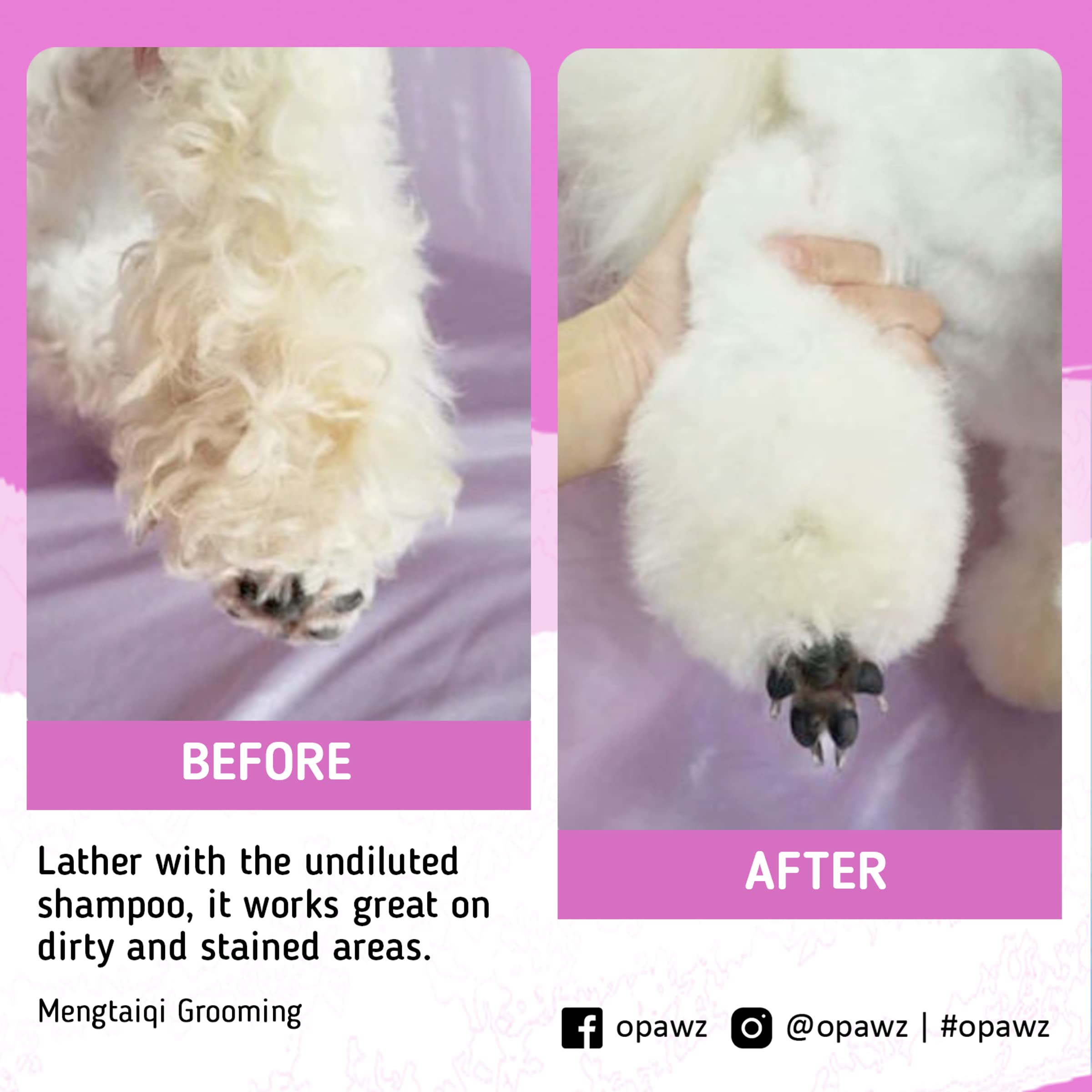 OPAWZ Whitening Purple Shampoo for Dogs and Cats, 16.9 oz - Safely Removes Yellow Stains, No Bleach, Peroxide or Sulfate