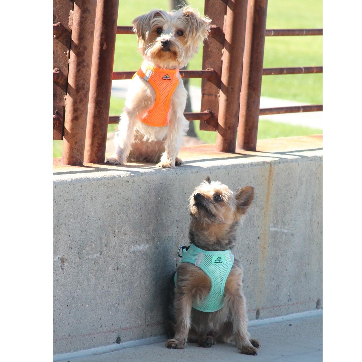 Doggie Design American River Step In Wrap Up Ultra Choke-Free Mesh Dog Harness With Safe Night Walking Reflective Strips (Soft Mesh Polyester, Machine Wash And Line Dry) (3Xl, Teal)