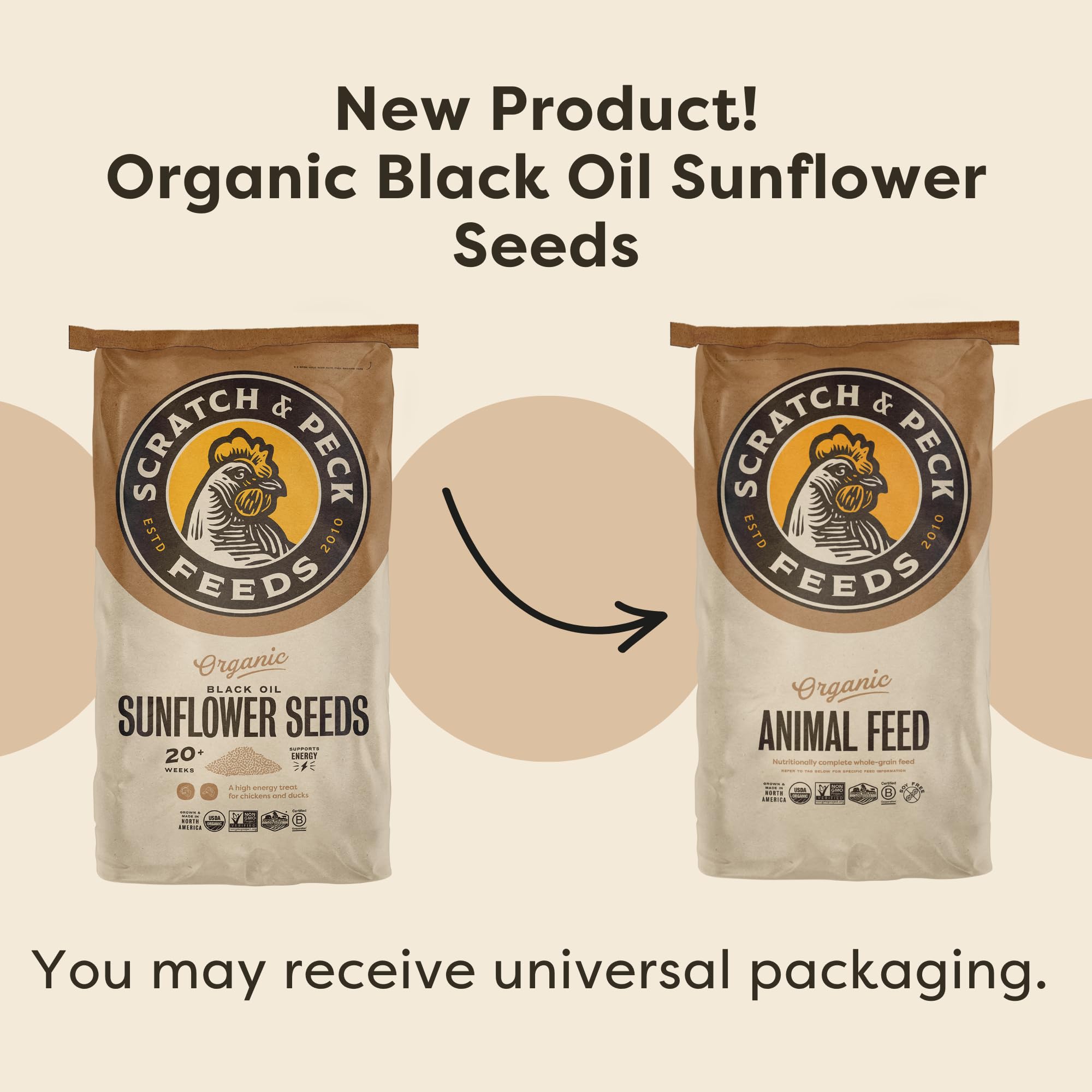 Scratch and Peck Black Oil Sunflower Seeds Chicken and Duck Treat - 25 lbs Bag - 15% Protein, Certified Organic and Non-GMO Proj