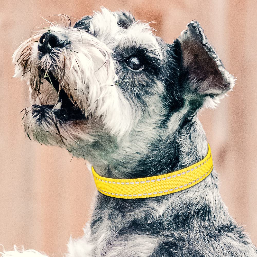 Petjoy Shock Collar Replacement Collar Strap, Reflective Dog Collar, Strong, Durable & Adjustable Dog Collar, 2 Piece Collar For