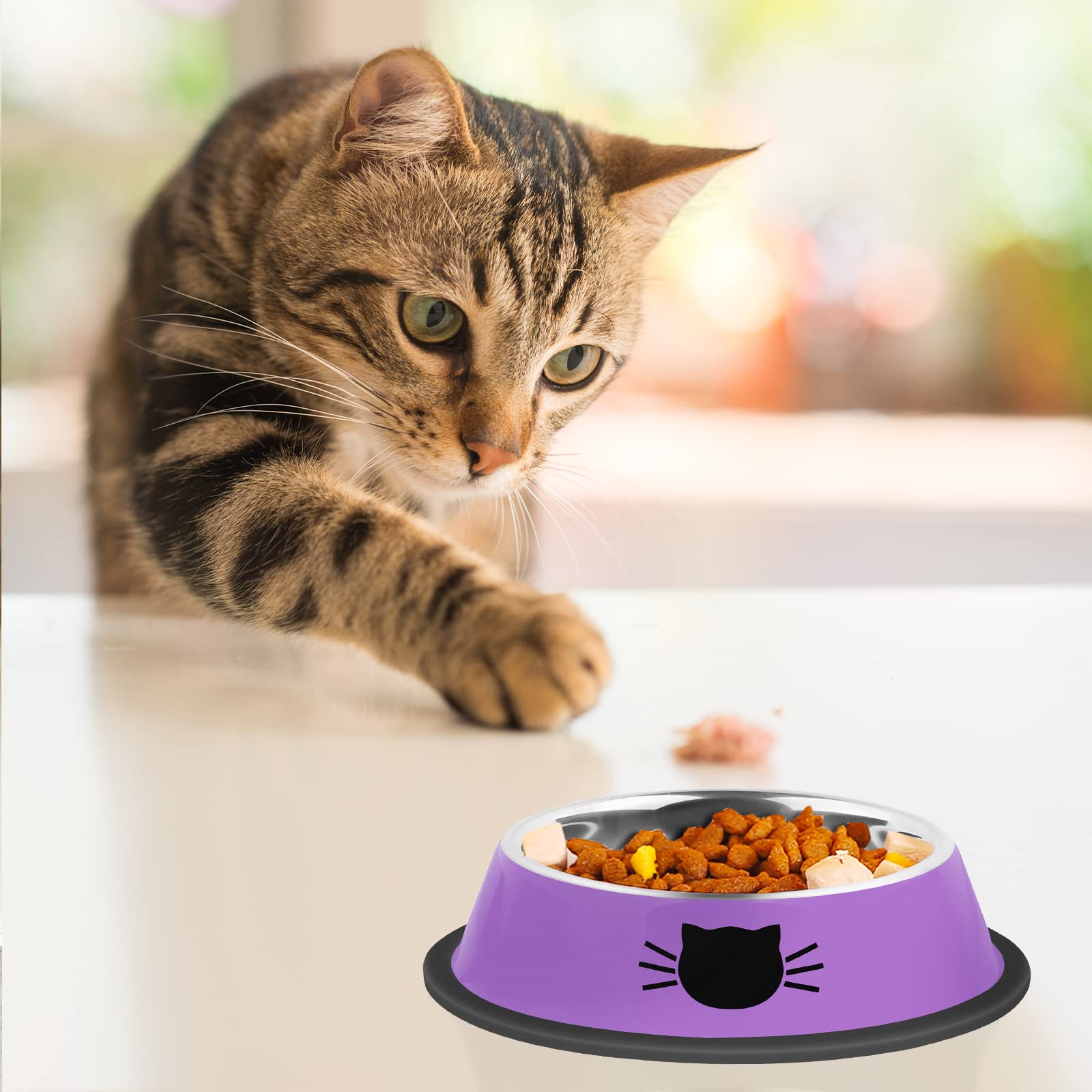 Serentive 2Pcs Cat Bowls Non-Slip Stainless Steel Small Cat Food Bowls Unbreakable Thicken Cat Feeder 7 Oz Cat Dishes Suitable f