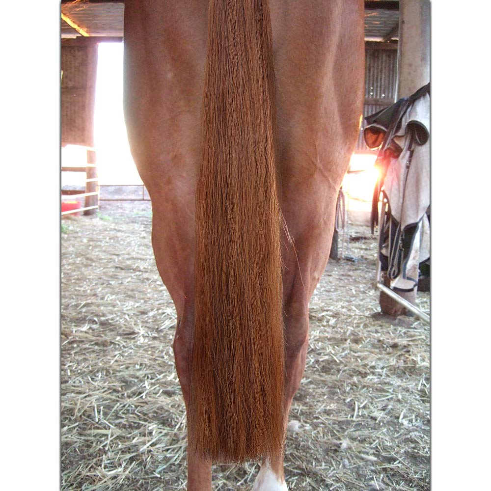 Y.J TAILS Horse Tail Extensions with Braided Horsehair Loop, Blunt Cut Bottom, 34-36 inches Long and 1 lb Weight (Light Sorrel)