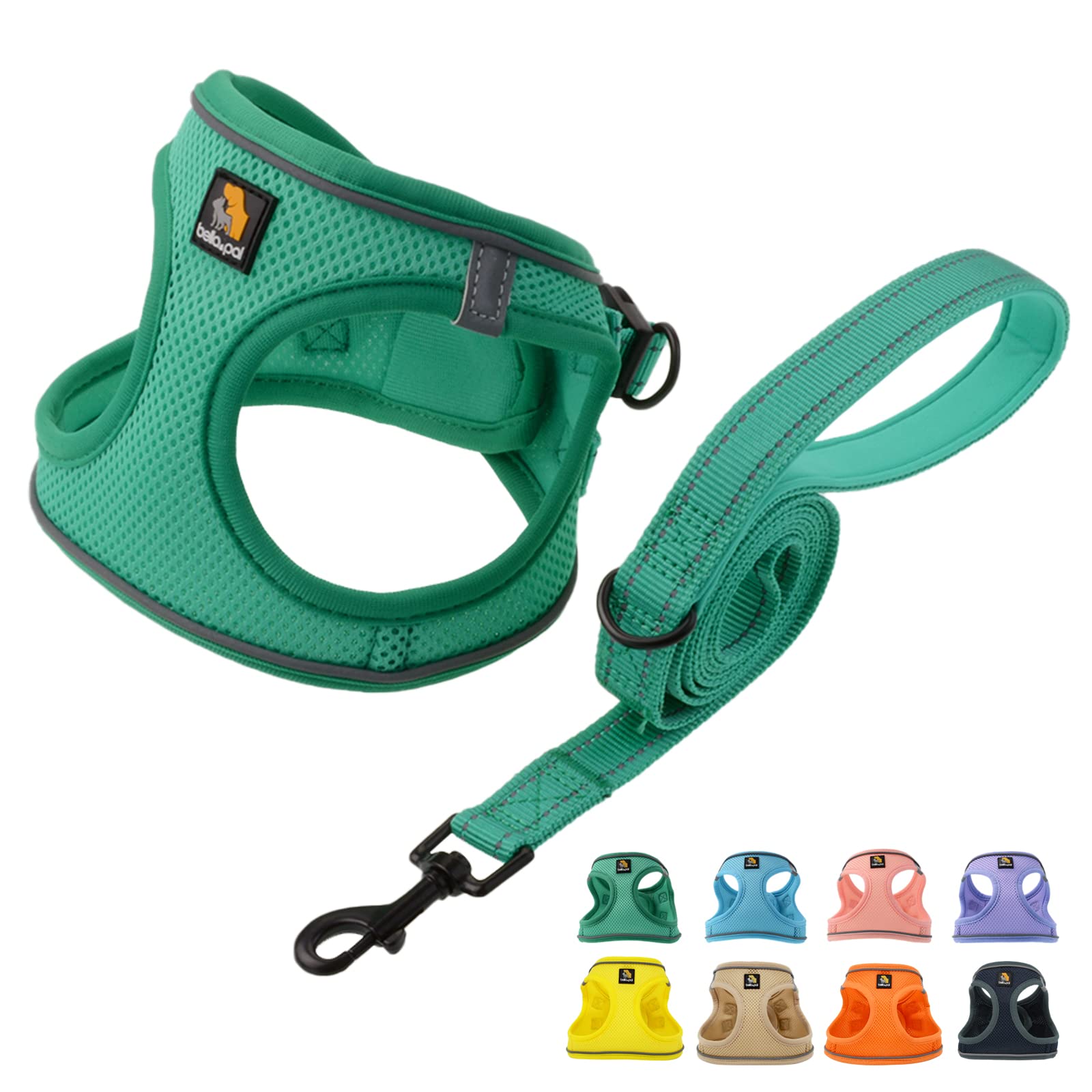 Bella & Pal Puppy Harness With Leash Set, No Pull For Small Dogs, Step In Harness For Extra Small Dogs, Green, Xxs