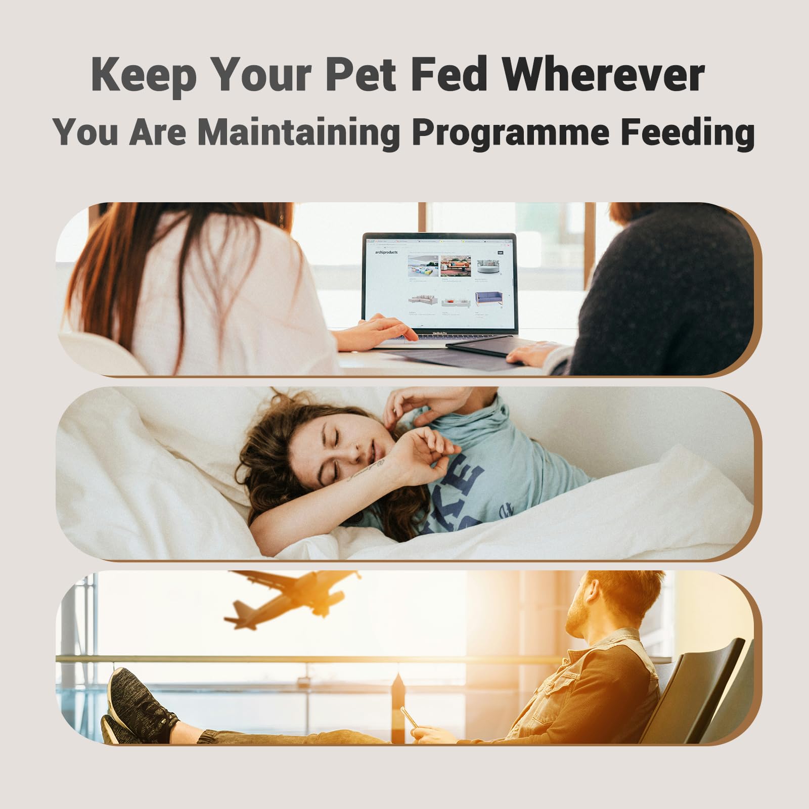 PETULTRA Automatic Cat Feeders, 4L Timed Dog Feeder Programmable Control 1-4 Meals Pet Dry Food Dispenser for Cats and Small Med