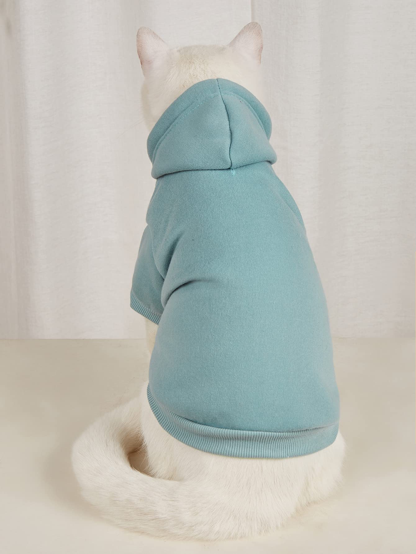 Qwinee Basic Dog Hoodie, Dog Warm Jacket, Cat Apparel, Dog Shirt, Dog Clothes For Puppy Kitten Small Medium Dogs Cats Cadet Blue M