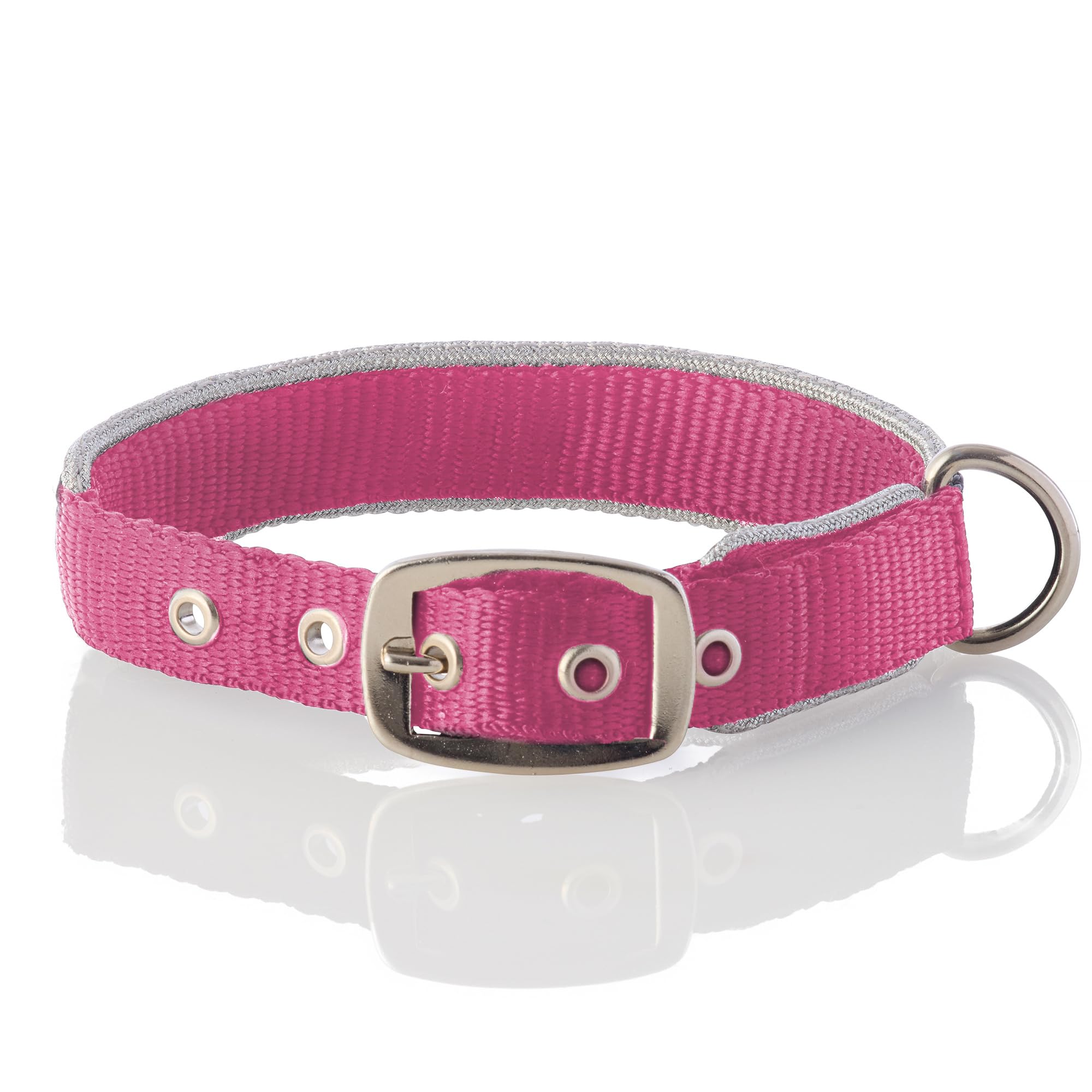 Pet Passion Adjustable Silver Trimmed Dog Collar For Pets Small, Medium And Large Dogs, Silver/Hot Pink, X-Large