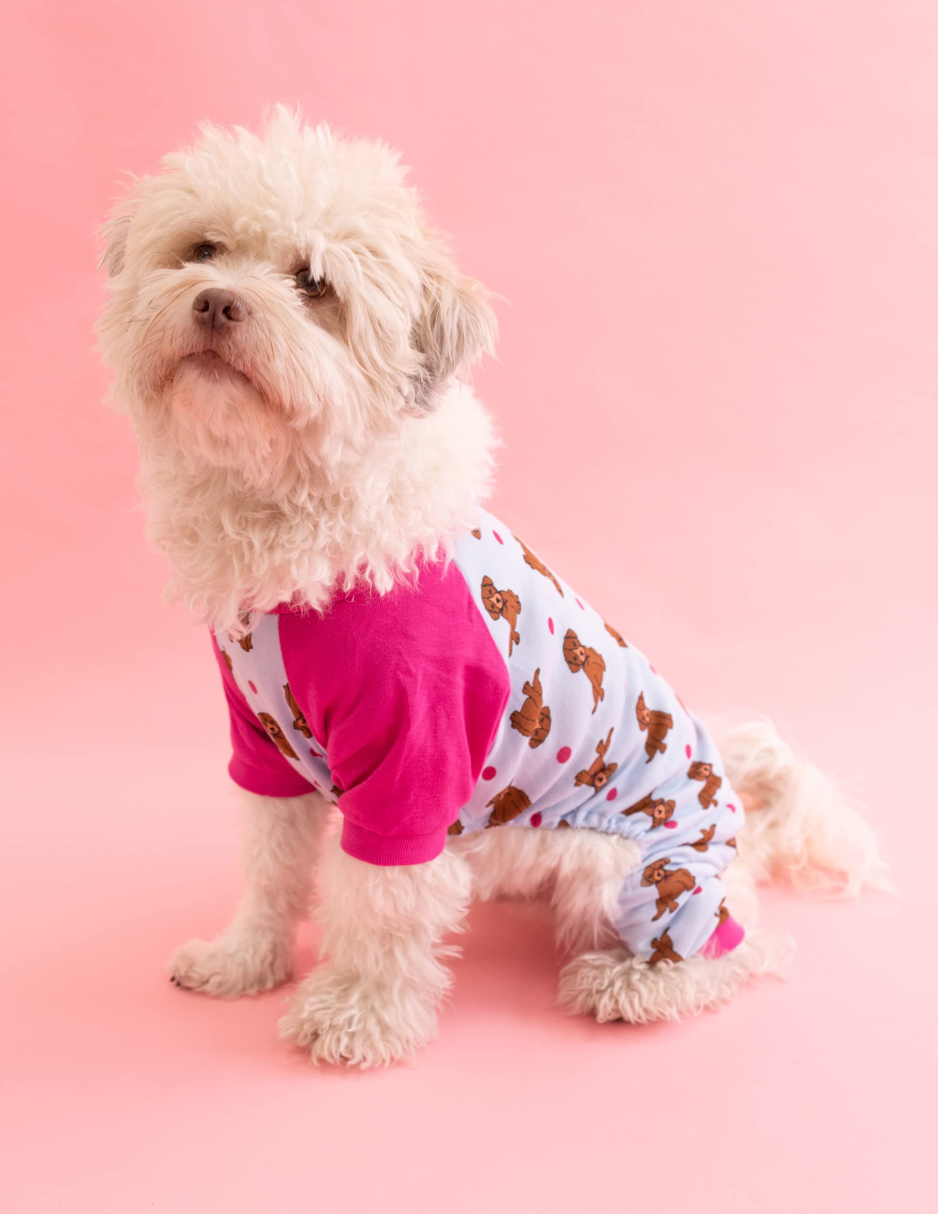 Leveret Matching Dog Pajamas Christmas Pjs 100% Cotton Puppy Size X-Large