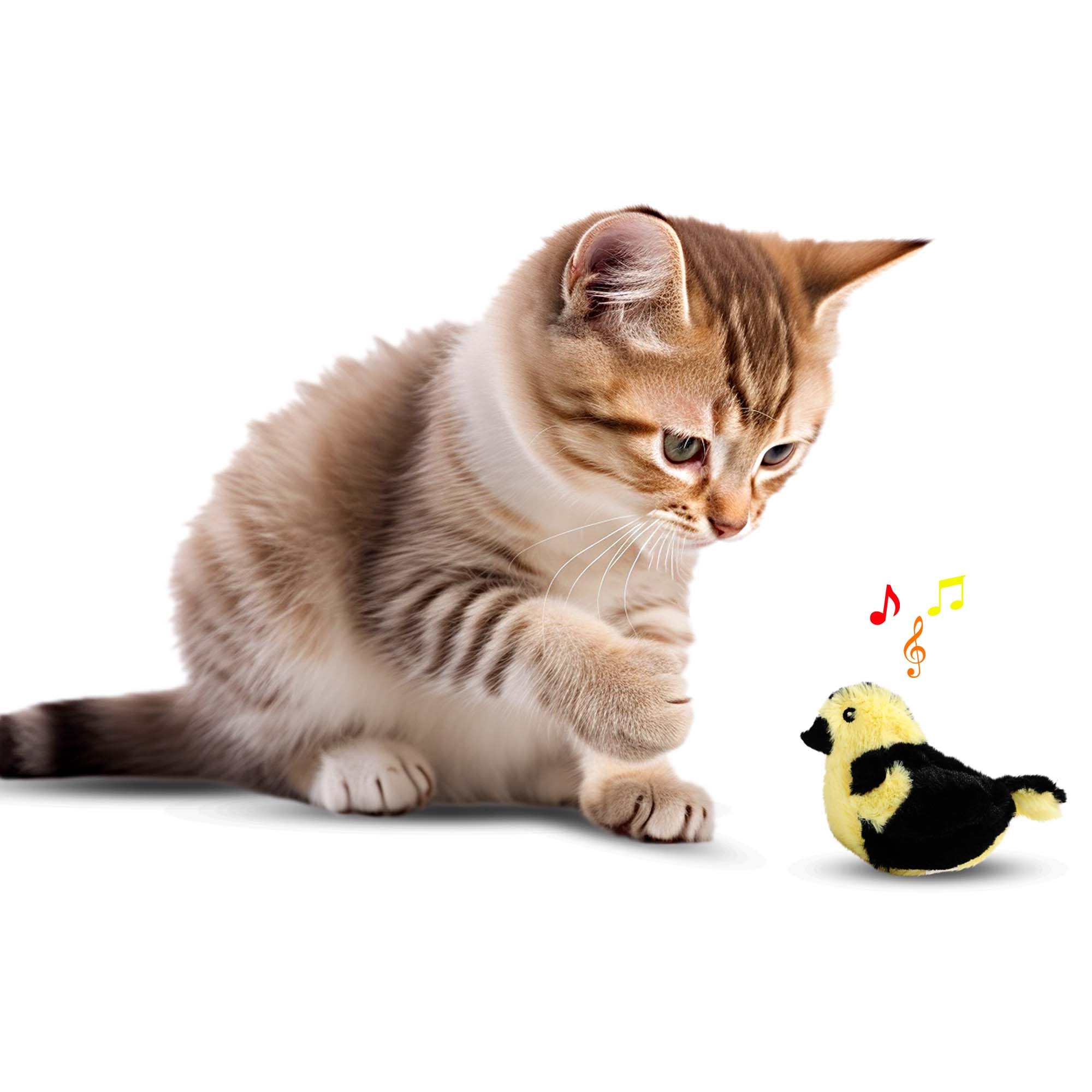 Spot Song Birds Cat Toys - Touch Activated Singing Catnip Toy Mimics Real Bird Songs, Battery Operated Toy Satisfies Cat'S Natural Urge To Hunt - One 5' Song Bird, Assorted Colors