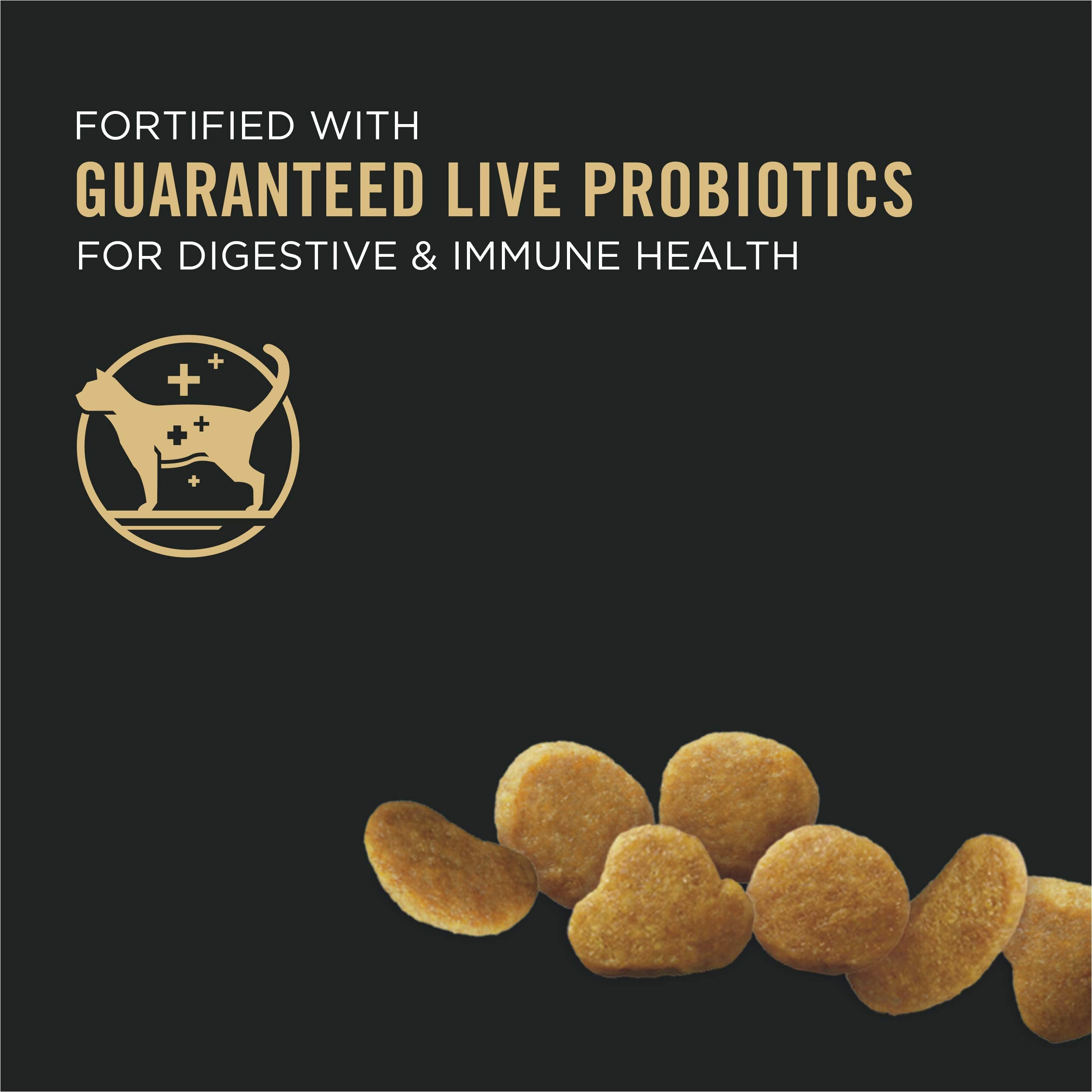 Purina Pro Plan With Probiotics, High Protein Dry Kitten Food, Chicken & Rice Formula - 7 lb. Bag