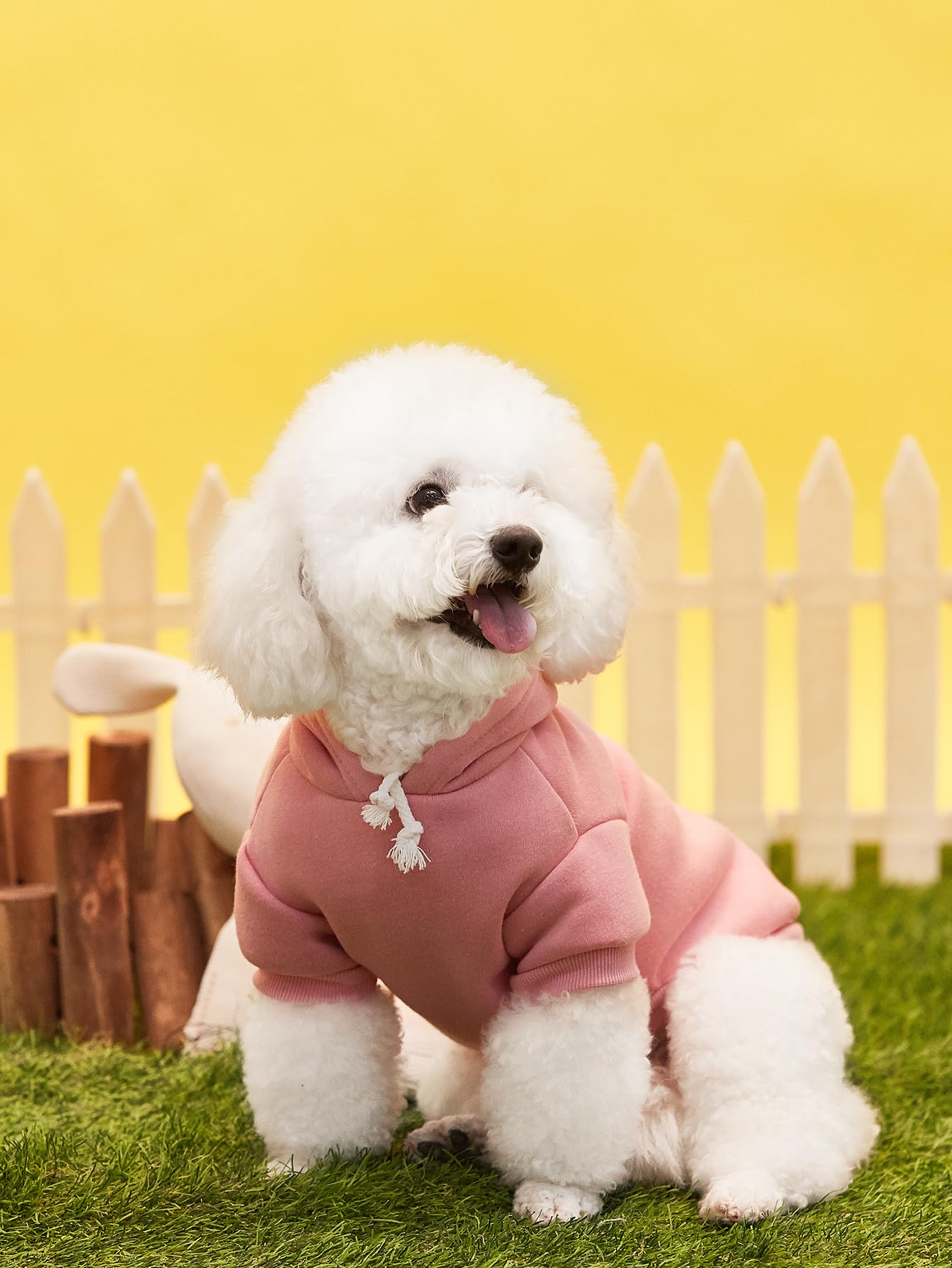 Qwinee 2Pcs Basic Dog & Cat Hoodie, Warm Jacket, Shirt & Clothes For Puppy Kitten Small Medium X-Large Pink & Green