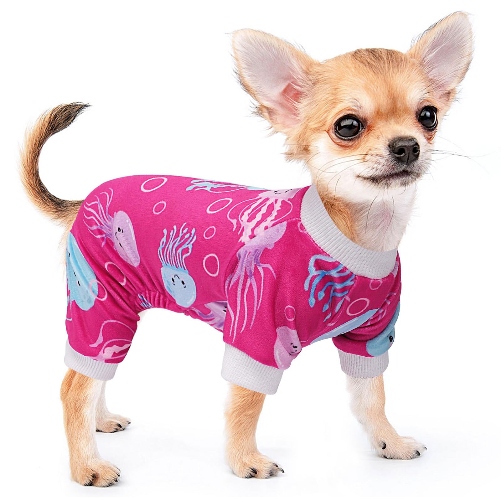 Dog Pajamas for Small Dogs Male Female Dog Clothes, Lightweight Velvet Pet Jumpsuit, Stretch Fleece Onesie, Shih Tzu Winter Spri