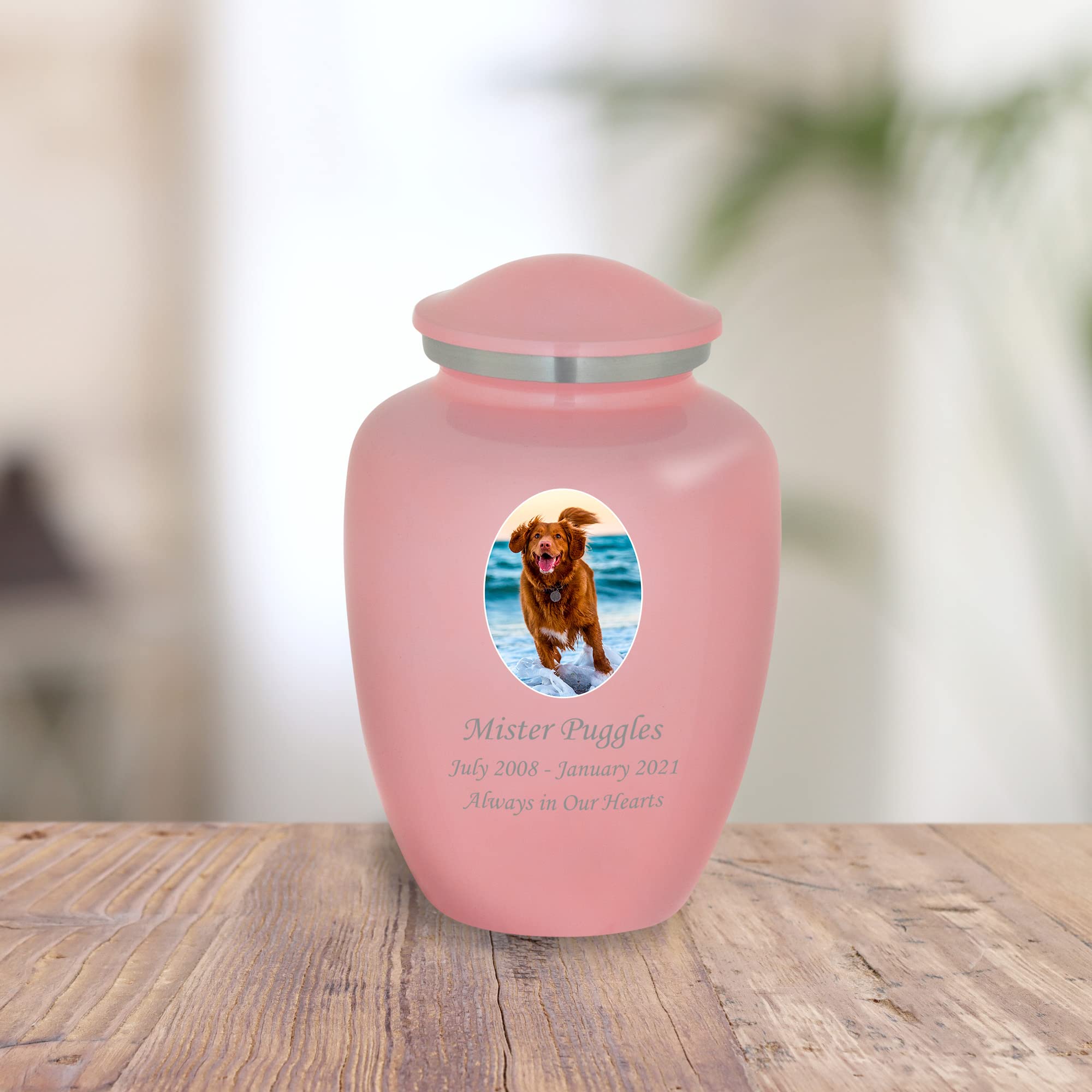 Mainely Urns Homage Medium Custom Photo Pet Cremation Urn For Pet Ashes - Vase Style Pet Urn - 80 Cubic Inch Capacity - Personal