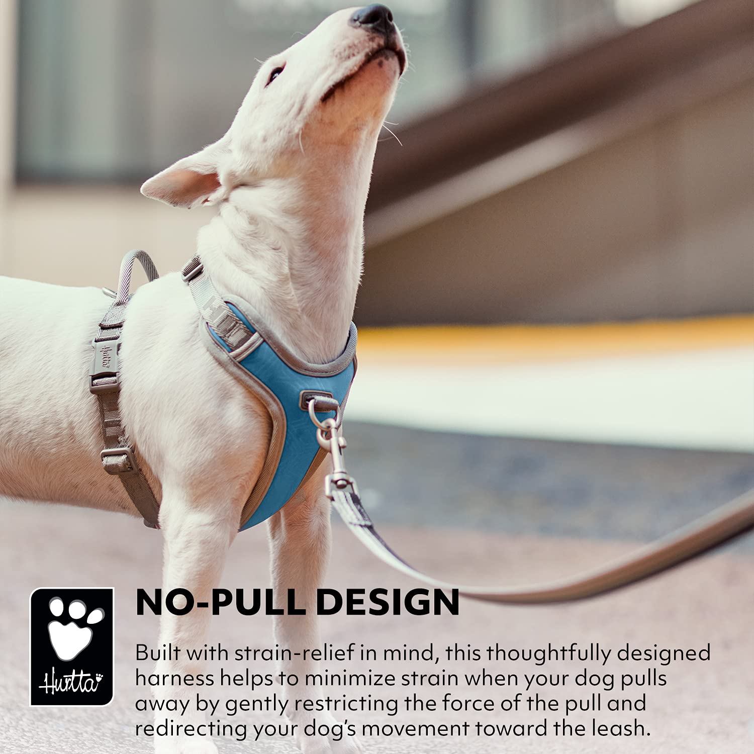 Hurtta Venture No-Pull Dog Harness, Bilberry, 16-18 In