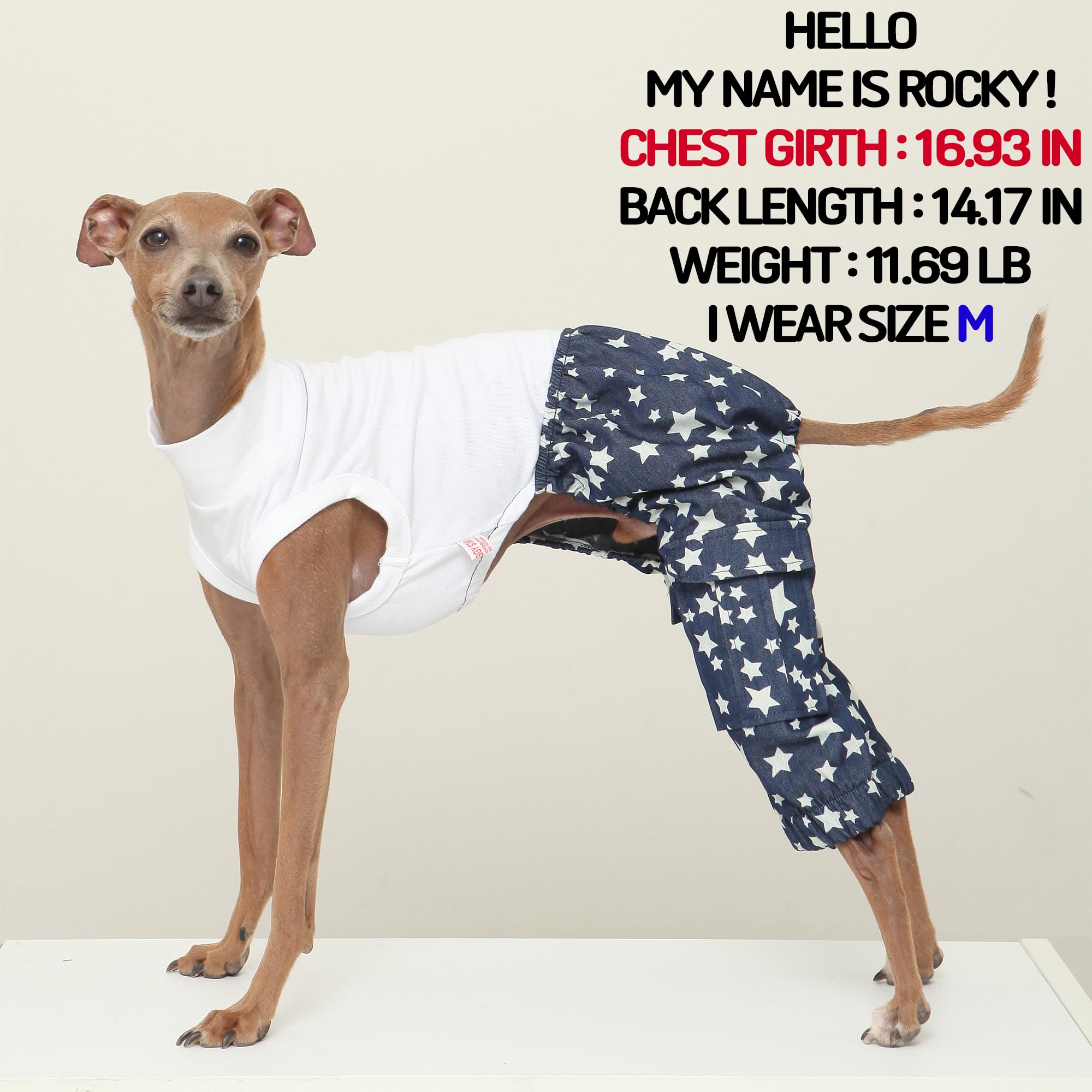 D Doggy Star Italian Greyhound Clothes Cargo Pants Onesie Outfit Whippet For Dog Coat (3Xl,Dnm Star Cargo)