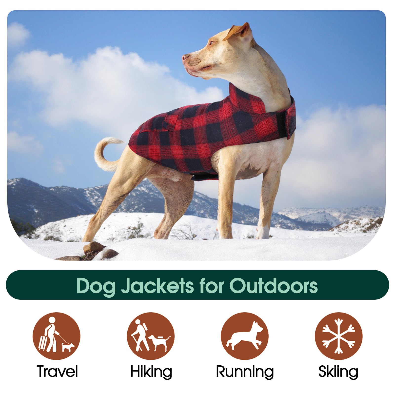 Kuoser Reversible Winter Coat, British Style Jacket For Small Medium And Large Dogs - Warm Windproof Puppy Cold Weather Clothes