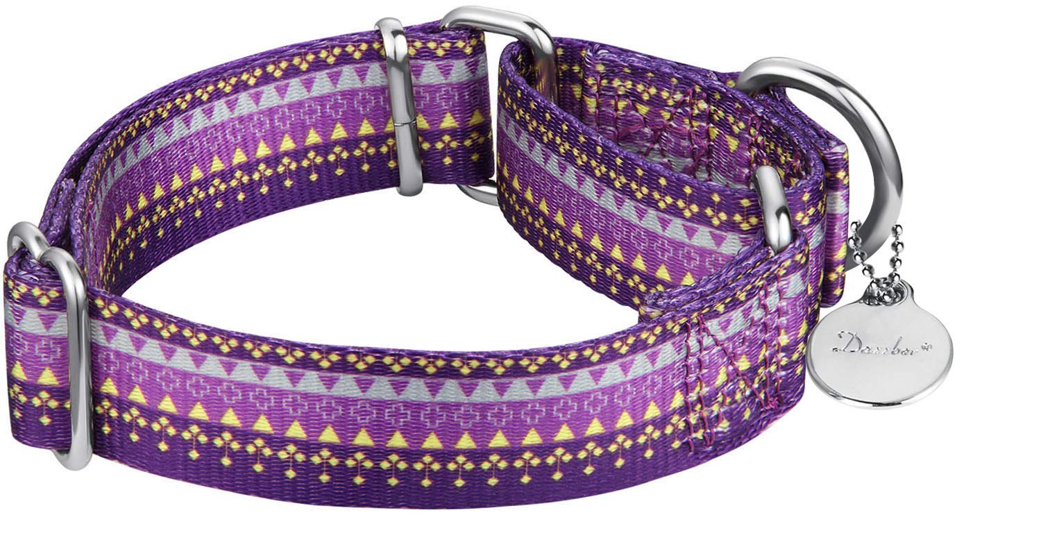 Dazzber Martingale Collar Nylon Dog Collar No Pull Pet Collar Heavy Duty For Medium And Large Dogs, Adjustable 14 Inch - 21 Inch, Sky Blue