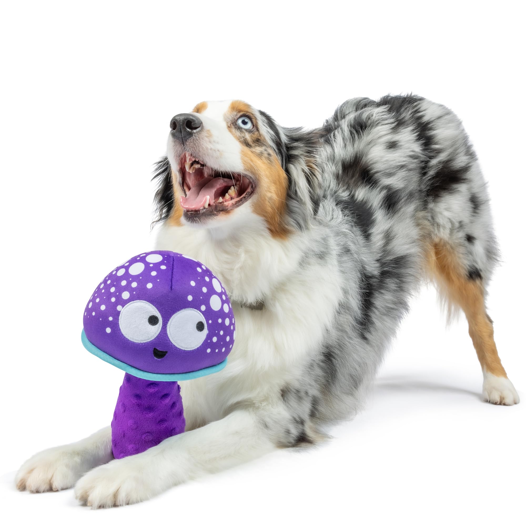 Huxley & Kent For Dogs | Mellow Mushroom (Small) | Funny Dog Toy | Power Plush Dog Toy With Squeaker | Dog Gift | Fun, Durable |