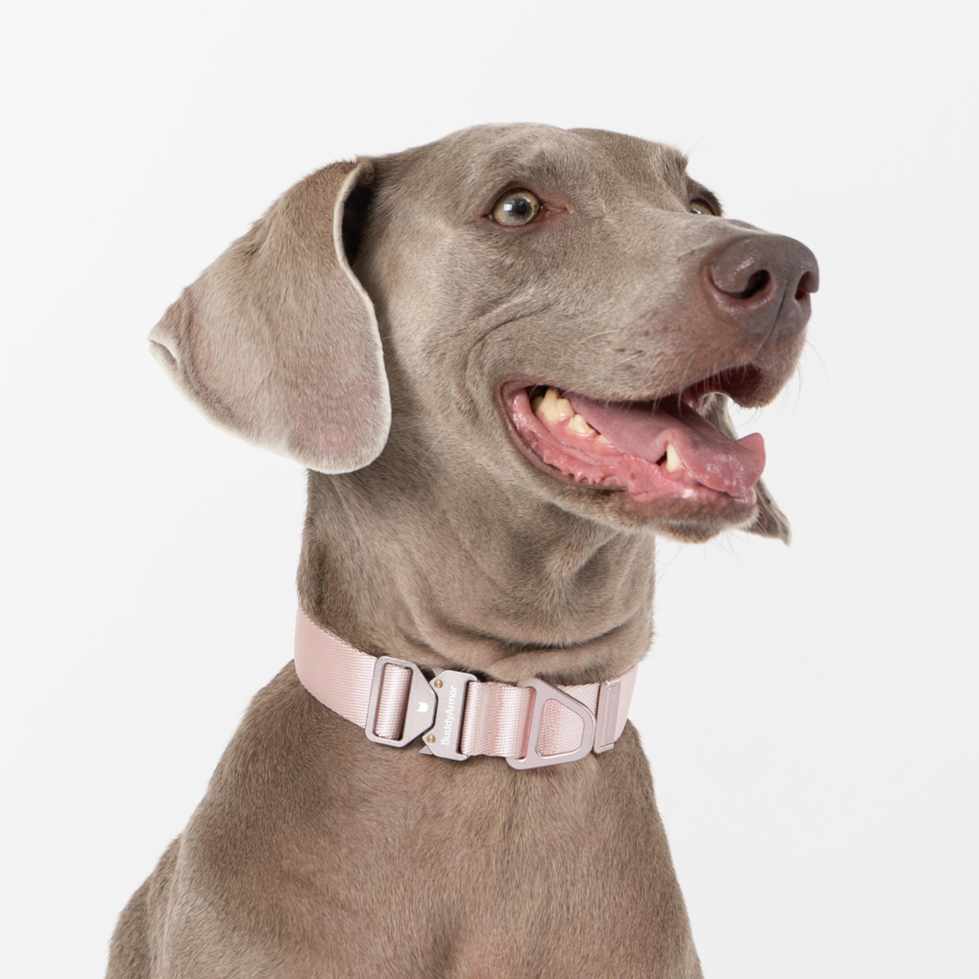 Buddyarmor Dog Collar Pro, Soft Lightweight Dog Collar With Metal Buckle Quick Release Heavy Duty Adjustable Nylon Dog Collar Fo