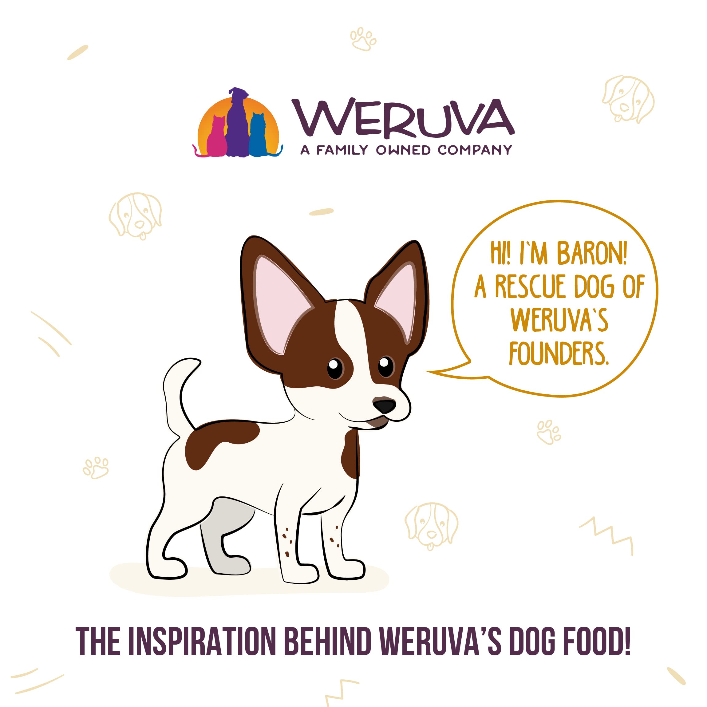 Weruva Classic Dog Food, Wok The Dog with Chicken, Beef & Pumpkin in Gravy, 5.5oz Can (Pack of 24), Brown