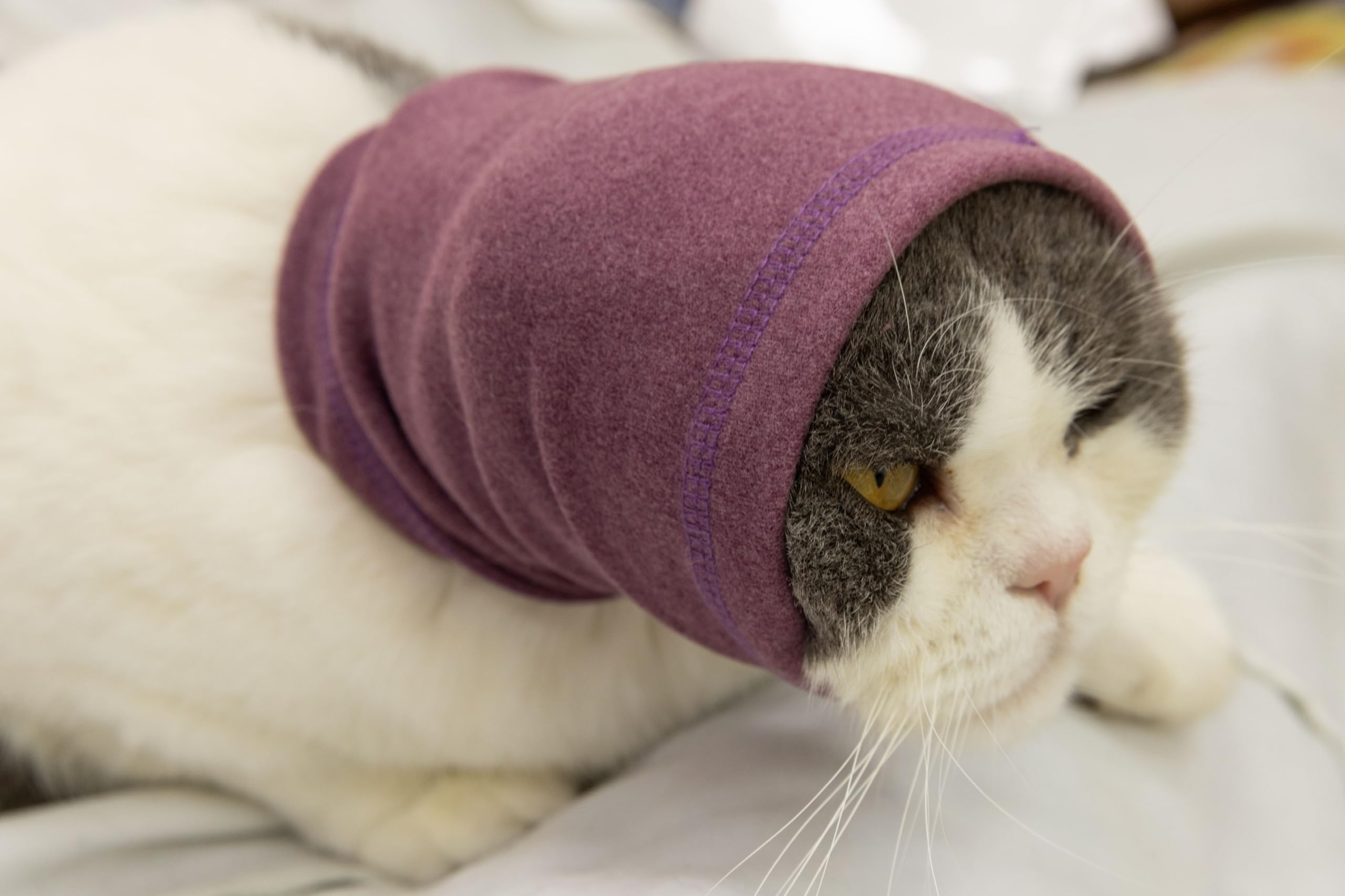 DDFS Cat Snood Cover Noise Cancelling Ear Wrap Neck Cat Head Cover Ear Wrap for Baths Pail Lilac S