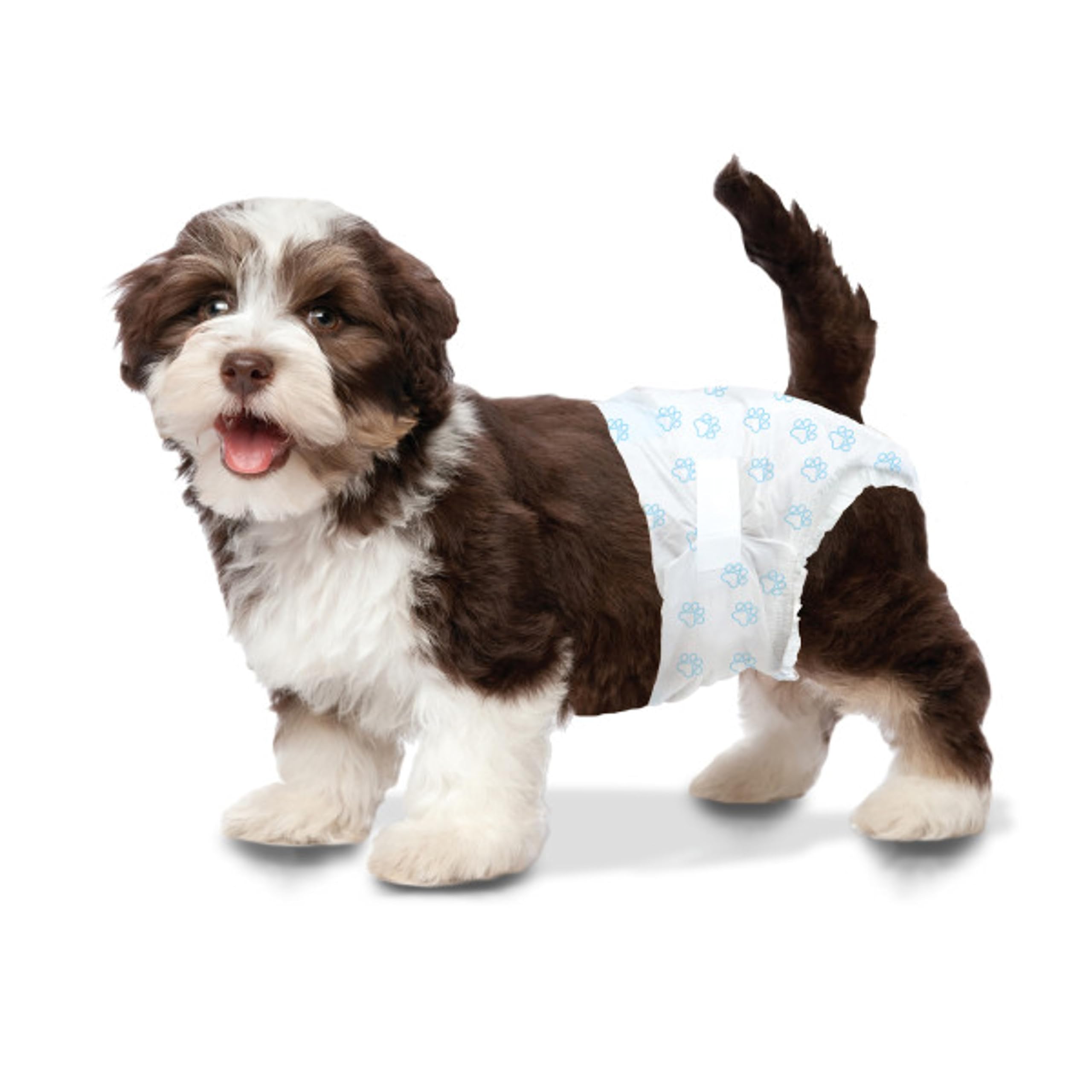 Four Paws Wee-Wee Disposable Dog Diapers X-Small (12 Count)