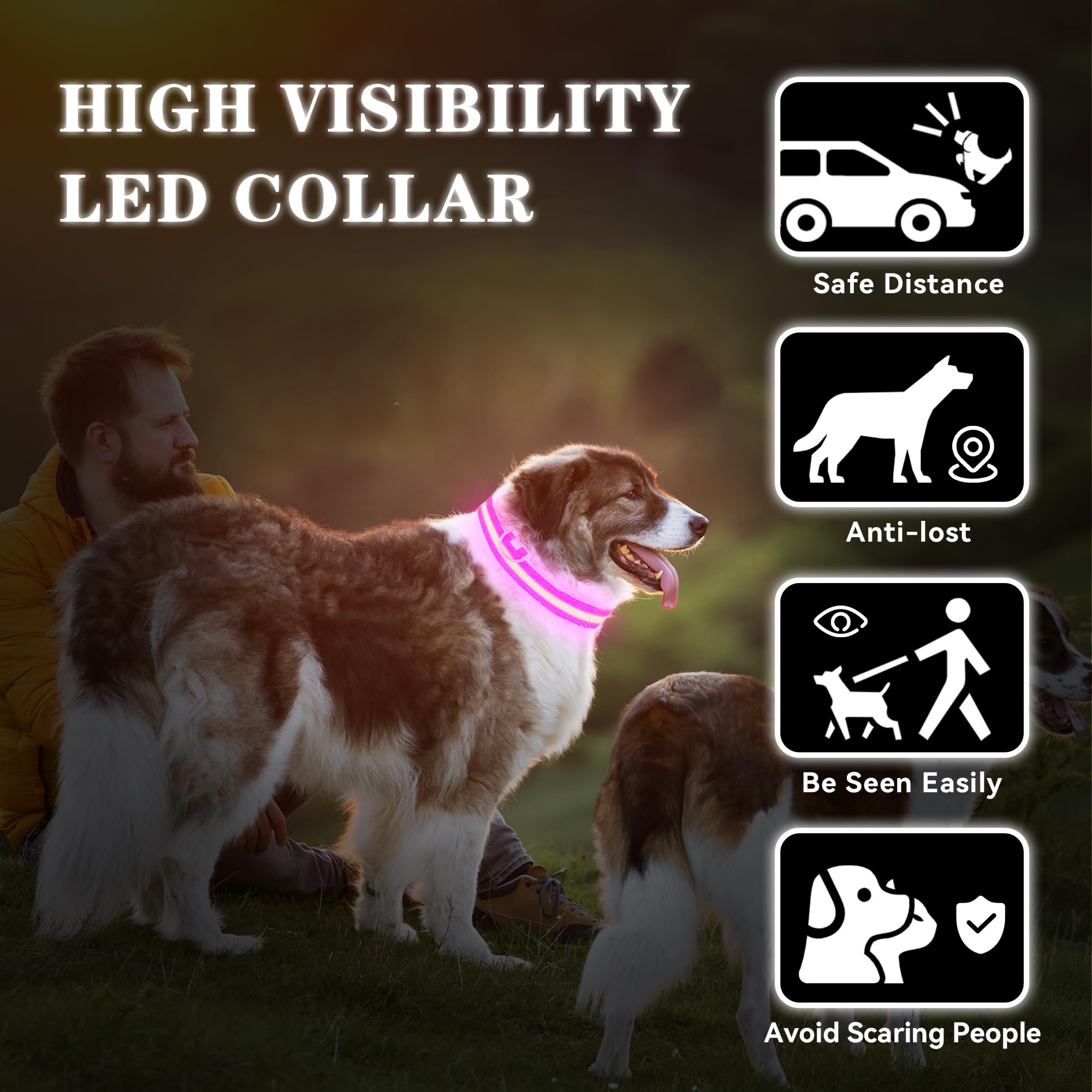 Light Up Dog Collar Rechargeable, Led Dog Collar Waterproof, Glow In Dark Dog Collar, Lighted Dog Collars For Night Walking Char