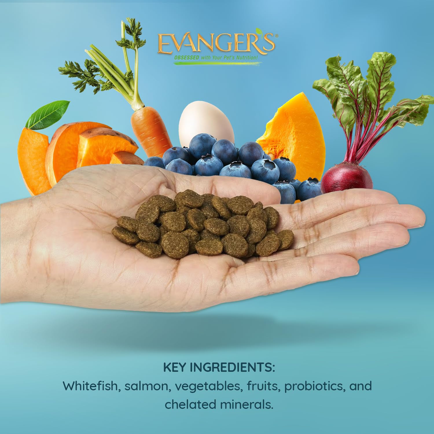 Evangers Grain-Free Whitefish & Sweet Potato with Venison Dry Dog Food