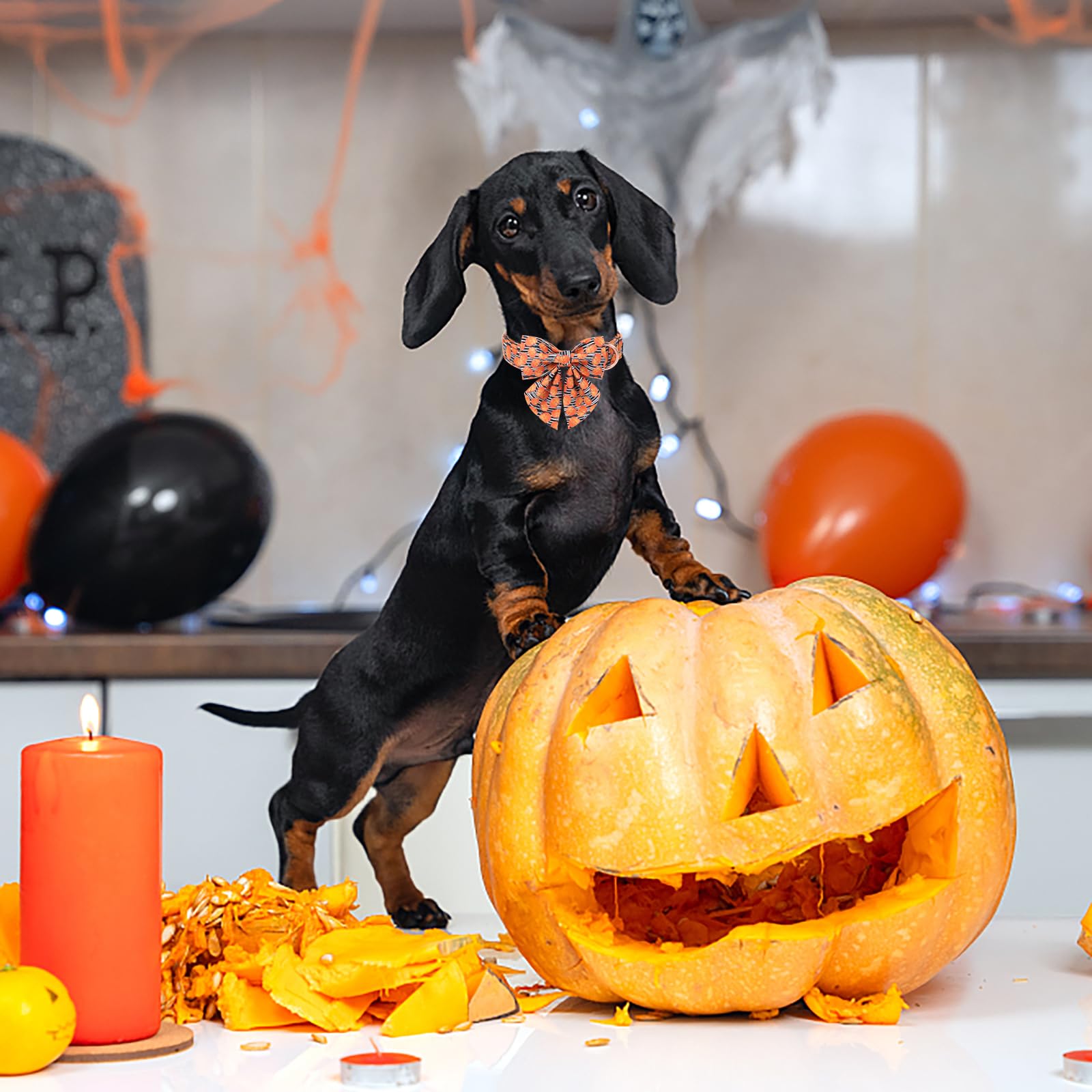 Maca Bates Halloween Pumpkin Dog Collar With Bow Bowtie For Dogs Sailor Bow Tie Adjustable Breakaway Cute Collars Accessories Fall Gift For Small Medium Large Xl Puppy With Golden Metal Buckle