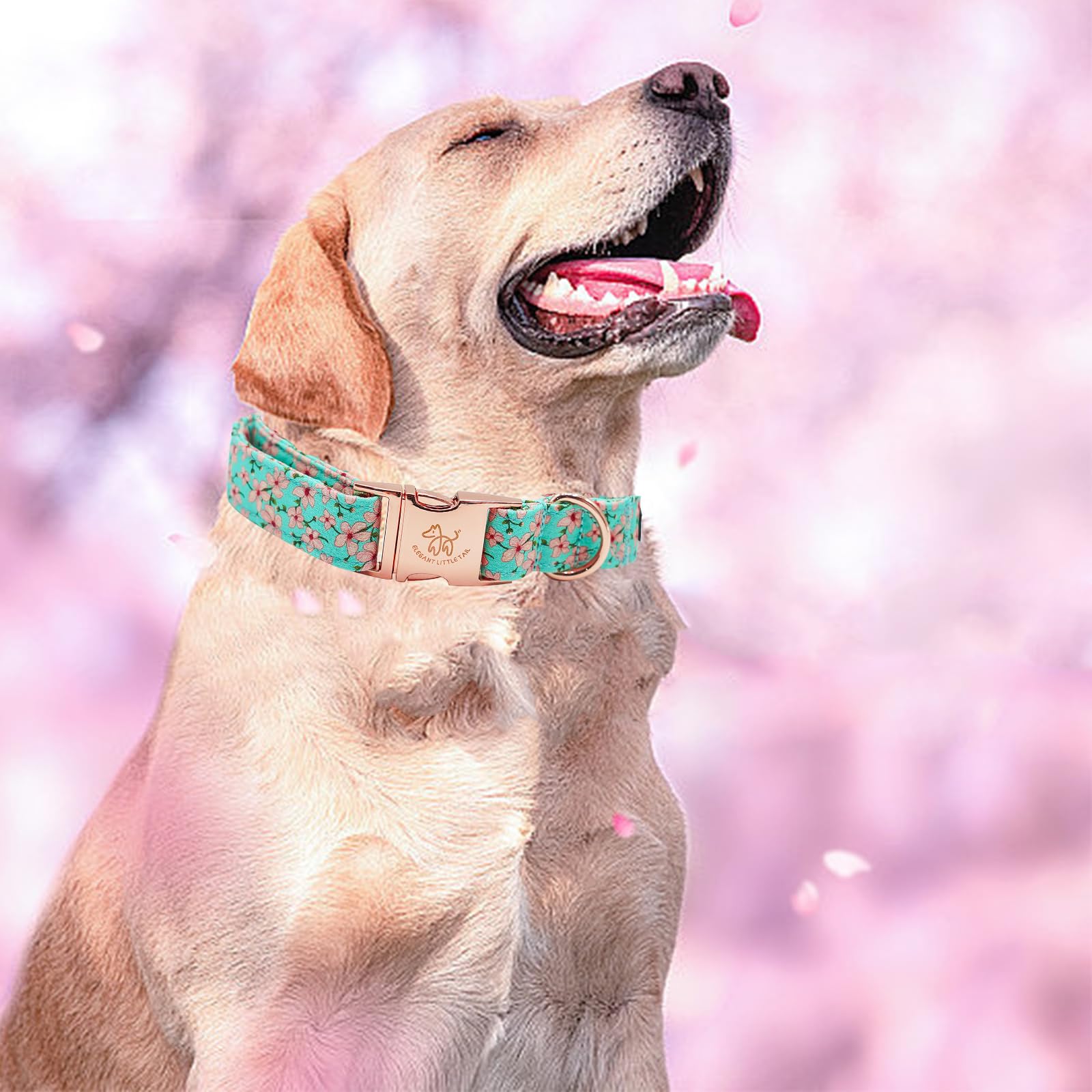 Elegant Pink Floral Print Summer Dog Collar - Cotton, Durable, Metal Buckle For Large Dogs