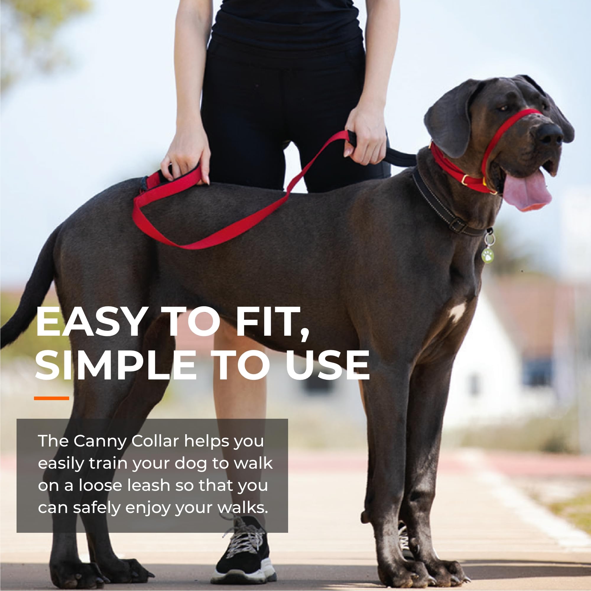 Canny Collar No Pull Dog Training Headcollar - Black Size 4, Nylon, Model 02-1005, Safe and Comfortable for Easy Walks