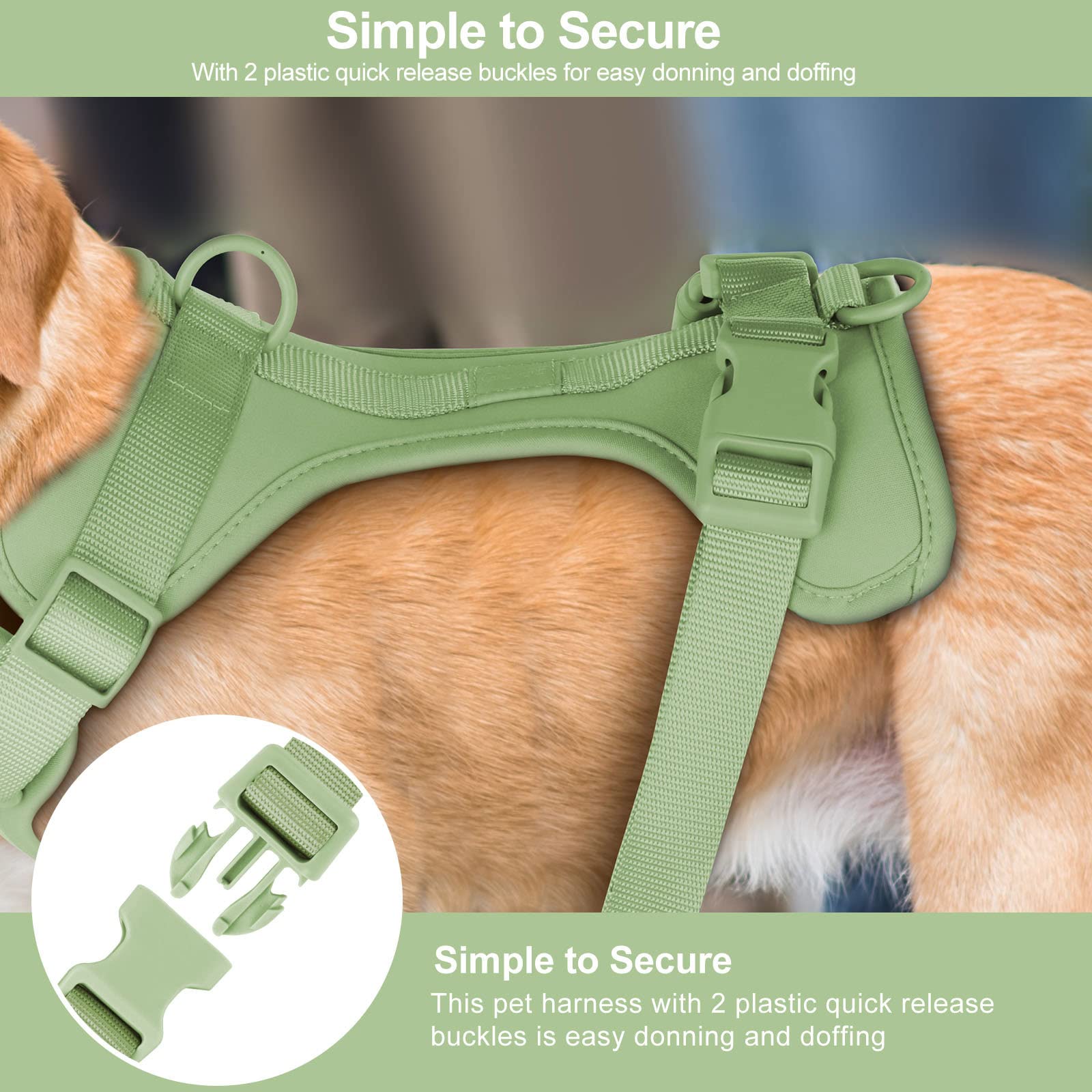 Wisedog No Pull Dog Harness, Lightweight Mesh, Comfortable Cushion, Size L, Sage Green