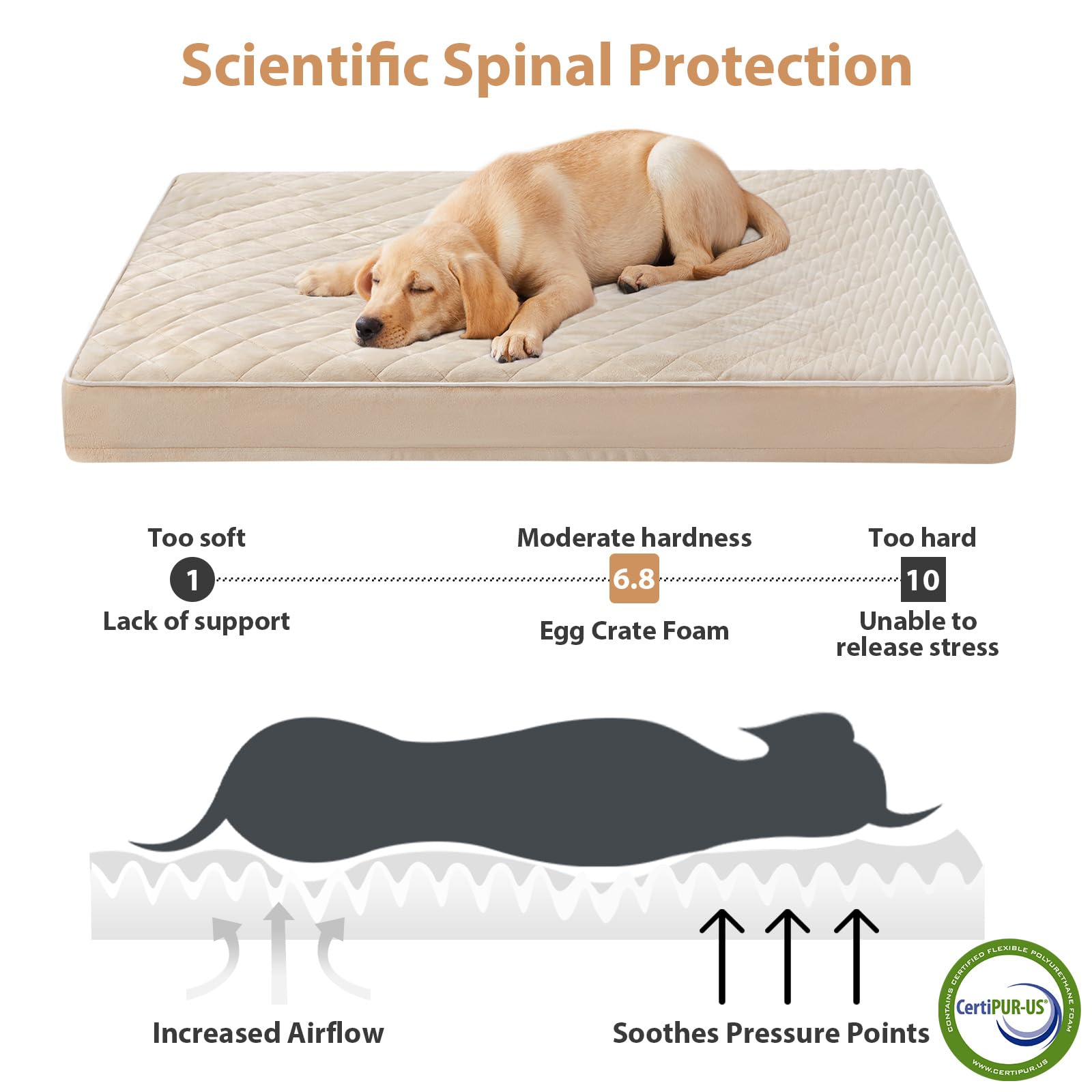 WNPETHOME Orthopedic XL Dog Bed, Waterproof Memory Foam, 41"x27"x4", Beige, Model WNHFGDMS4127