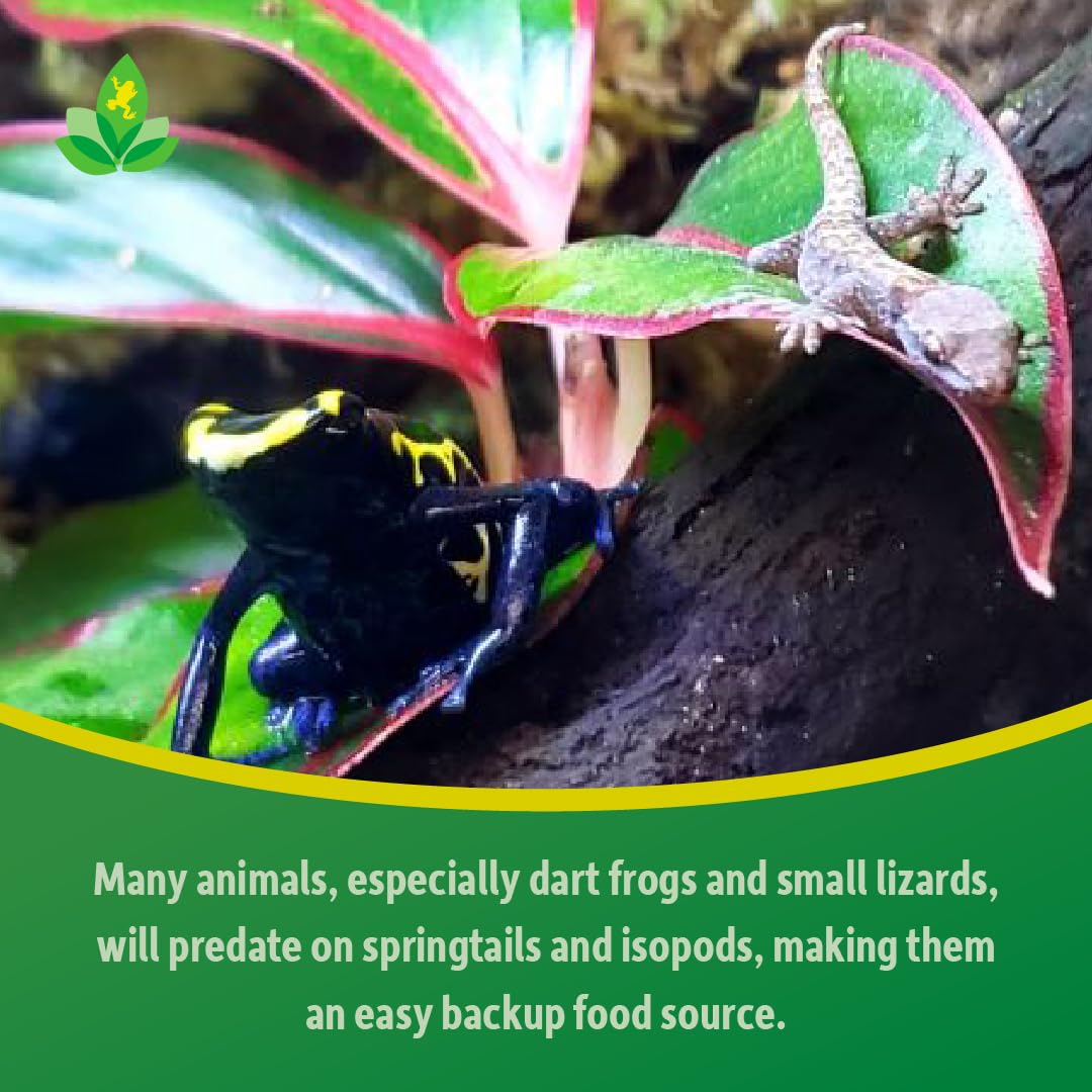 Joshs Frogs Dwarf Tropical White Isopods (25 ct) and Temperate Springtails (8oz) Bioactive Clean Up Crew Bugs Bundle