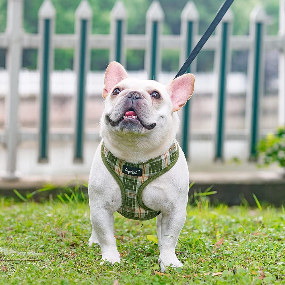 Pupteck Soft Mesh Dog Harness And Leash Set Pet Puppy Cat Comfort Padded Vest No Pull Harnesses, Olive Green, L