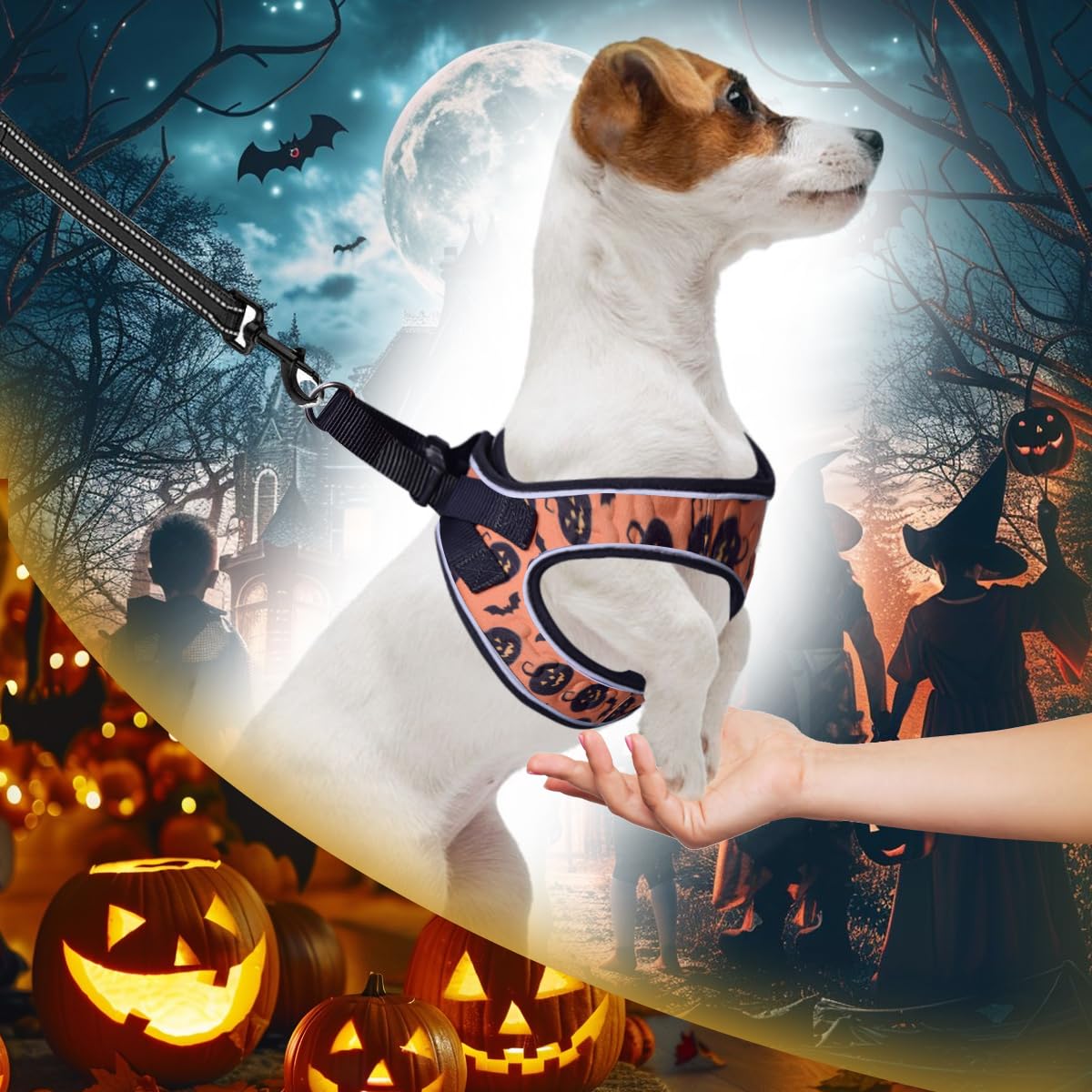 Comfort Fit Step-In Halloween Dog & Puppy Harness - Comfortable All Weather Dog Vest Harness: Adjustable, Soft Padded, Easy To P