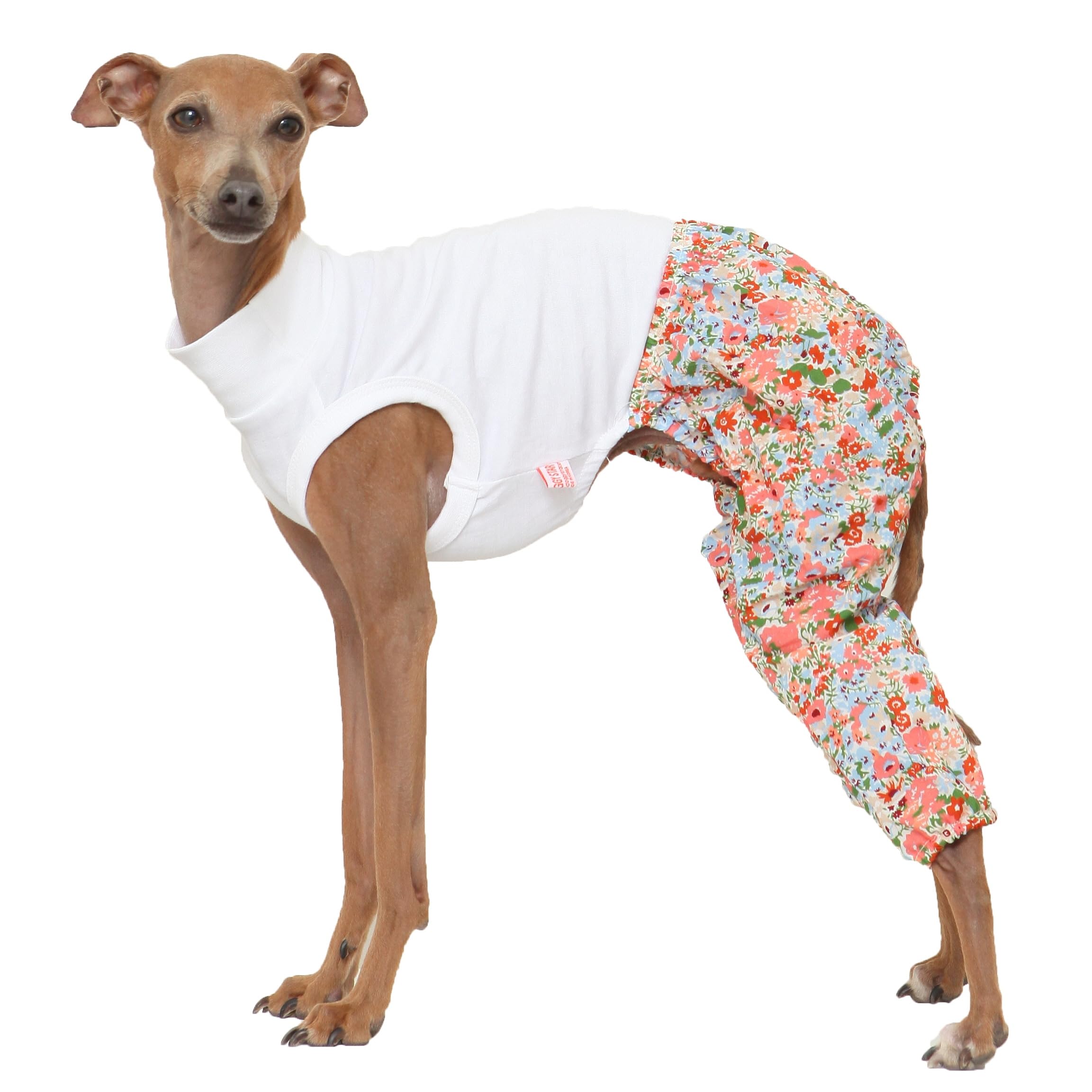 D Doggy Star Italian Greyhound Clothes Mombbe Onesie Outfit Whippet For Dog Coat (L,Mombbe Orange)