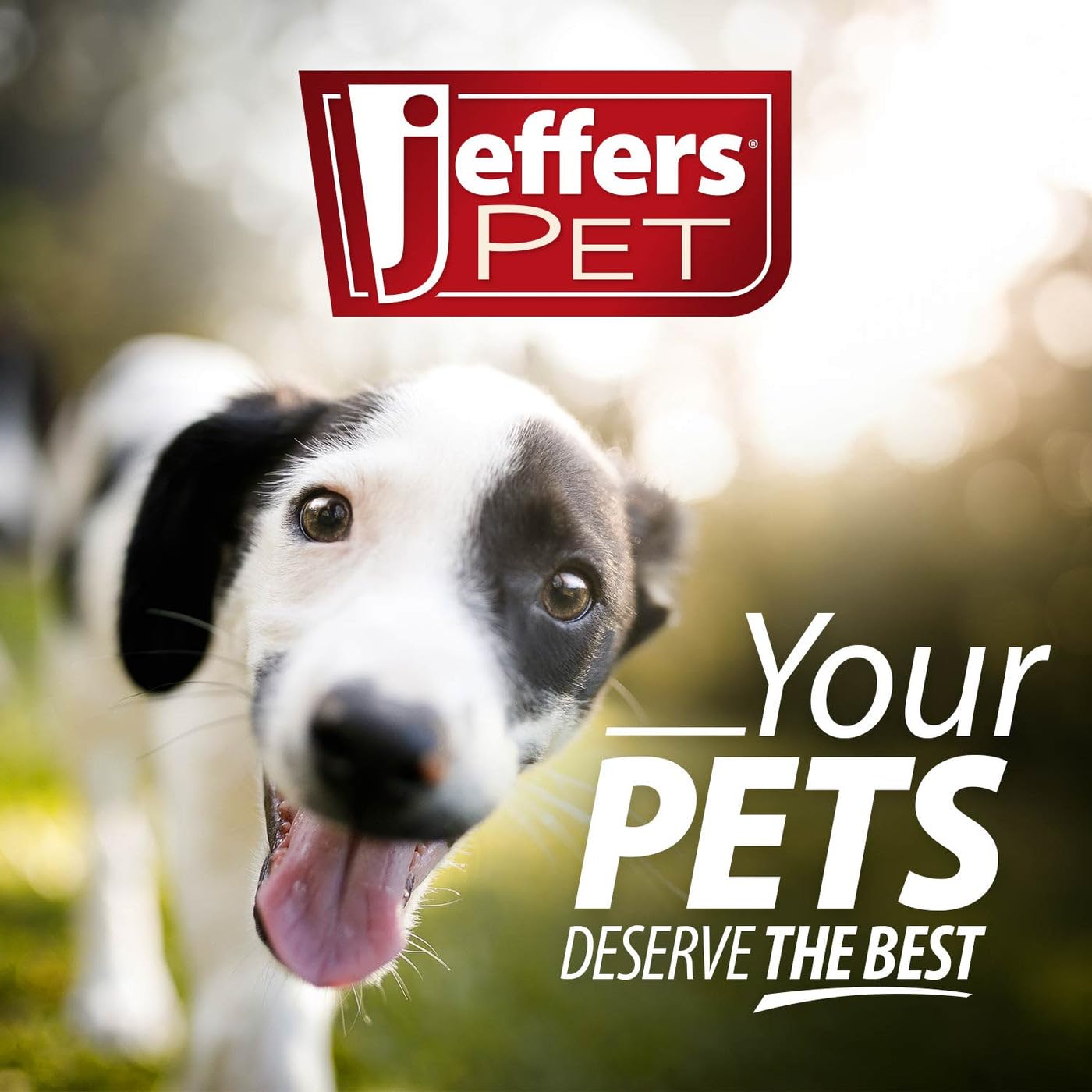 Jeffers Pet All Purpose Coconut Oil Shampoo For Dogs & Cats, 17 Fl Oz - Tearless, Ph Balanced, Soap & Detergent Free Formula - G