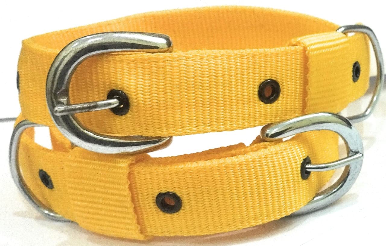 Japin Neck Collar Belts For Dog Comfortable Everyday 1.25 Inch Collar Belt For Dog 2 Piece (Yellow)