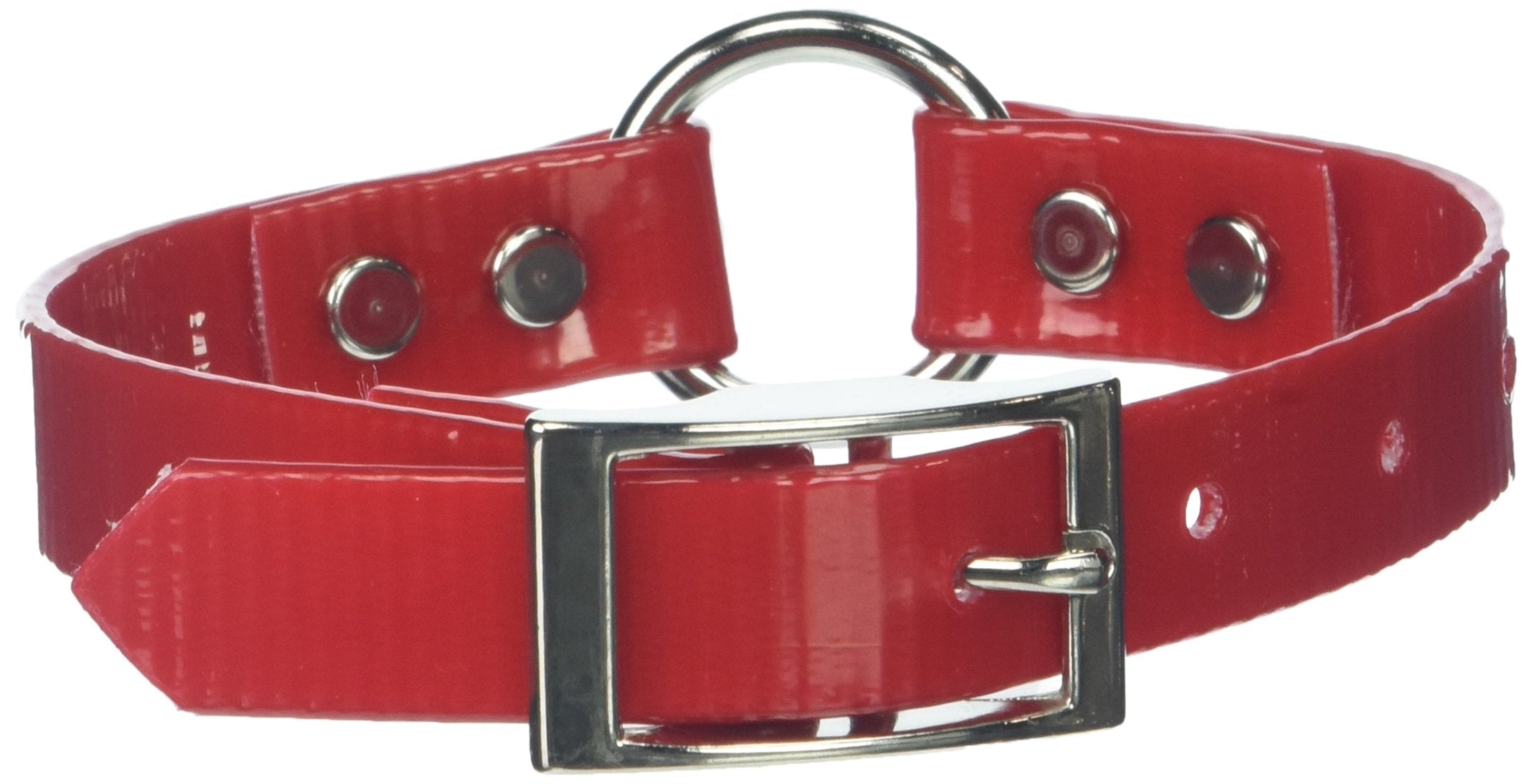 Omnipet Sunglo Ring-In-Center Dog Collar, 3/4' Wide, Red, Fits 9'- 12.5' Neck Sizes, Vibrant Colors & Tough Construction For 