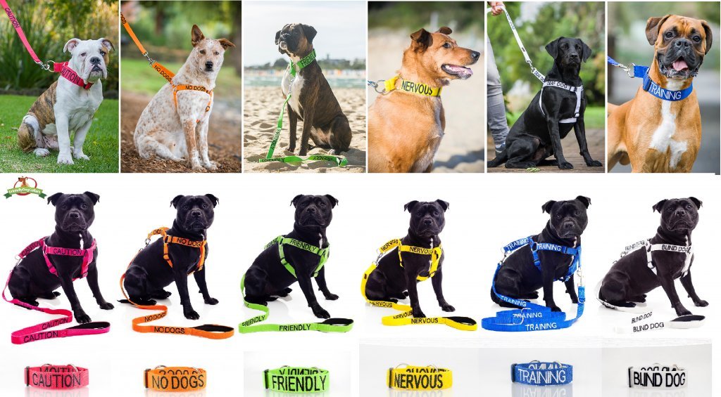 Dexil Limited Service Dog Red 4Ft 6Ft Padded Dog Leash Prevents Accidents By Warning Others Of Your Dog In Advance (4Ft)