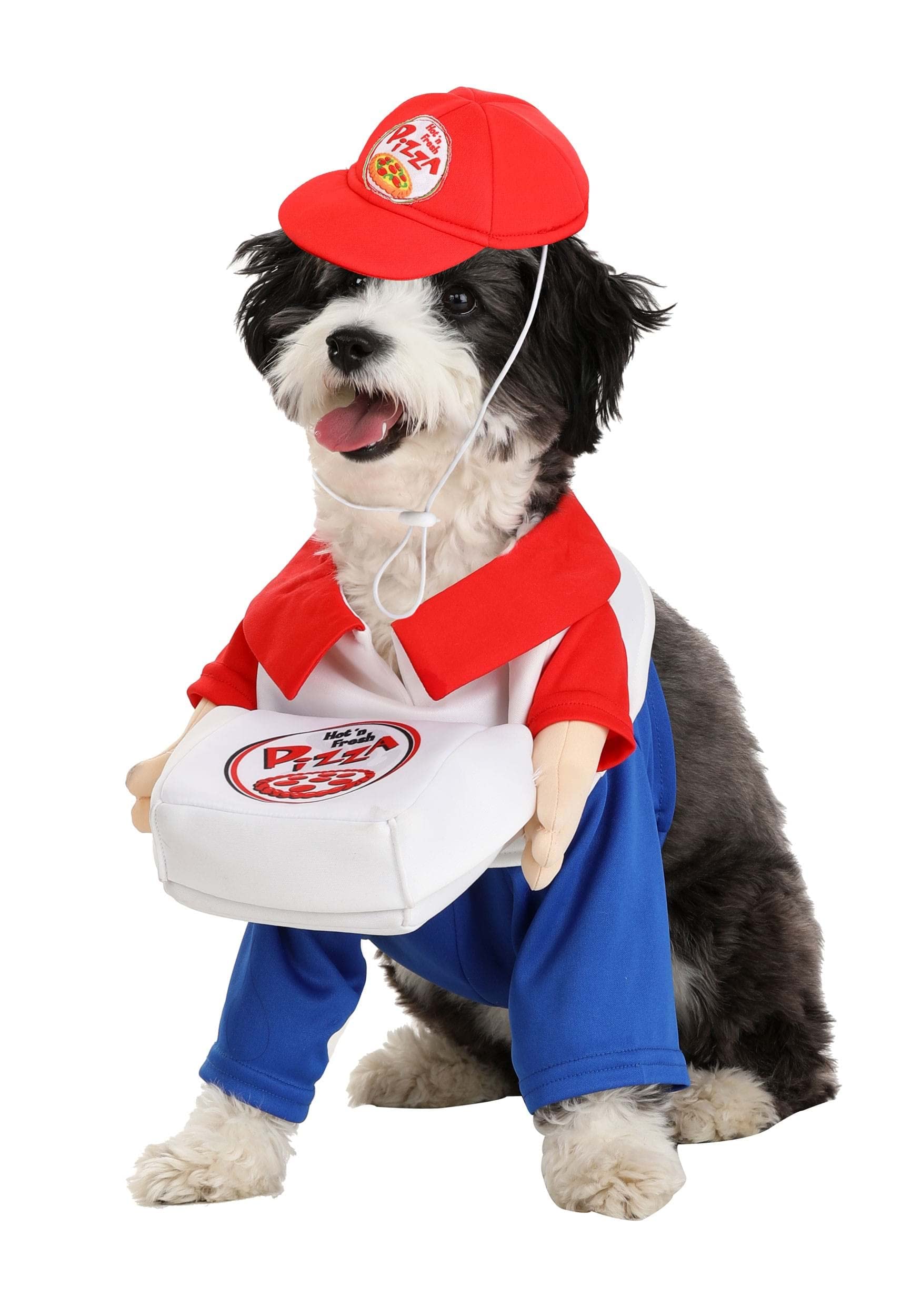 Fun Costumes Dog Pizza Delivery Costume - Medium - Red