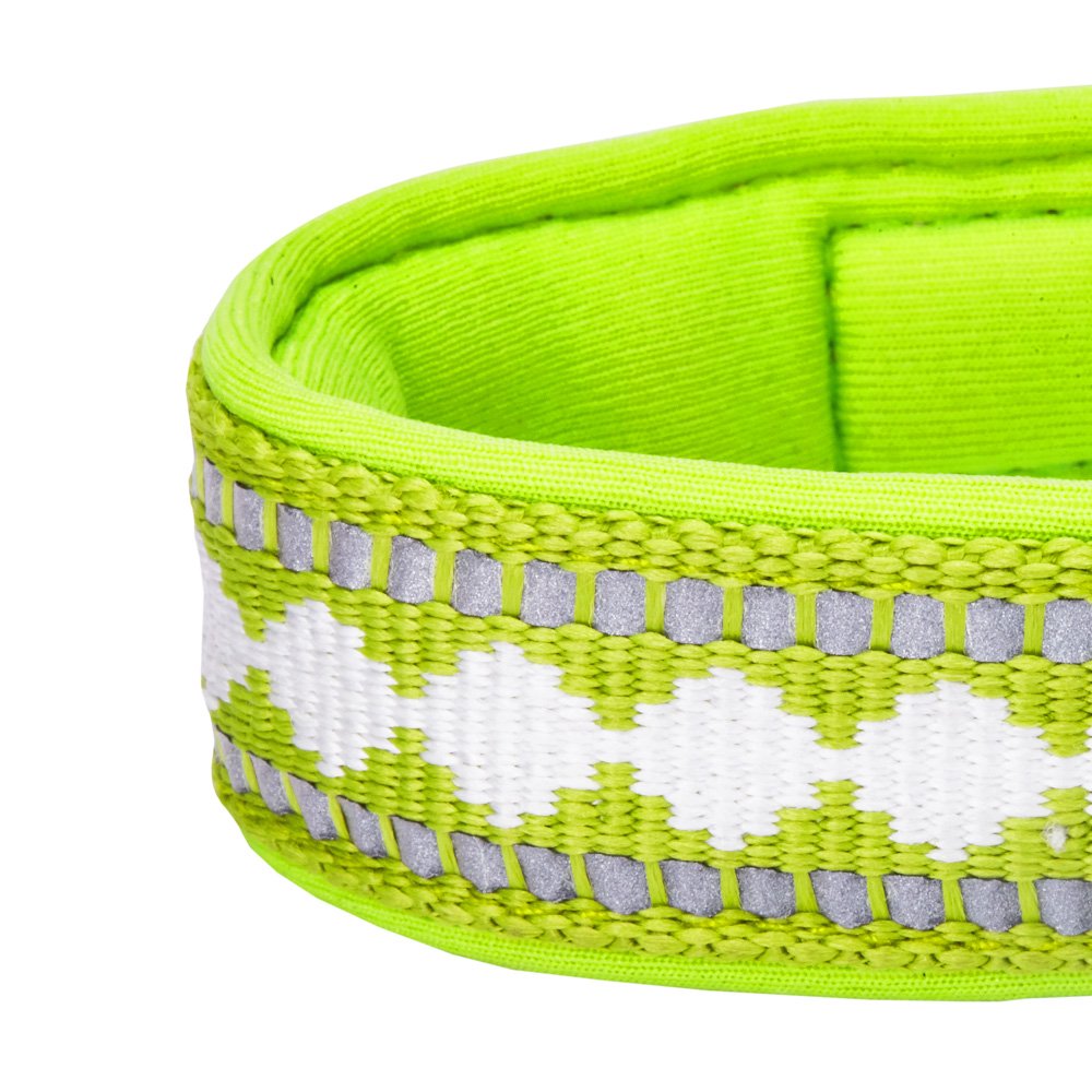 Blueberry Pet Soft & Safe 3M Reflective Jacquard Neoprene Padded Adjustable Dog Collar With Metal Buckle - Macaw Green, Neck 13-
