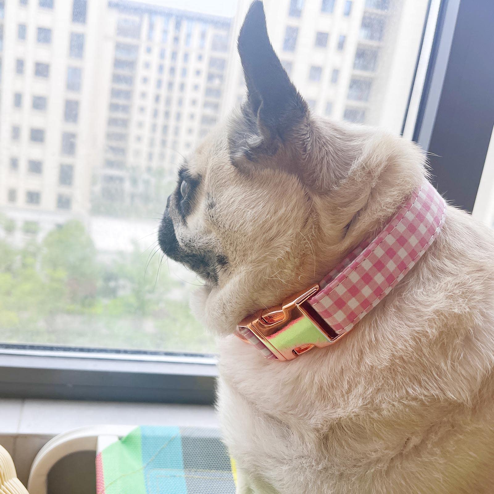 Metal Buckle Dog Collar, Durable Adjustable Dog Collar Soft For Small Medium Large Dogs (Pink Plaid, S(10-14In)