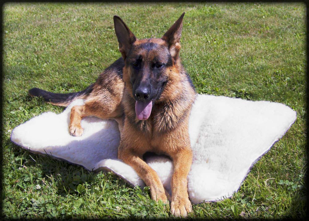 Activedogs Hi Loft Faux Lambskin Plush Sherpa Dog Bed - Medium 24'-36' - Orthopedic & Machine Washable - Double Layered