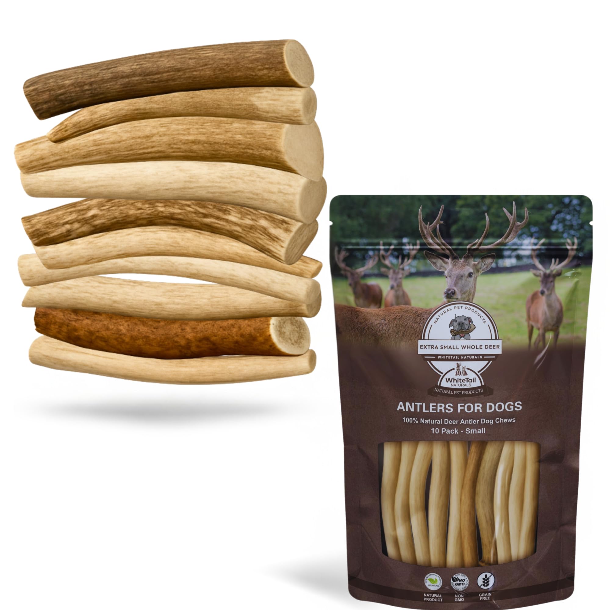 WhiteTail Naturals - Antlers for Small Dogs (10 Pack) Deer Antler Dog Chew Bones for Small Aggressive Chewers - Long Lasting Hor