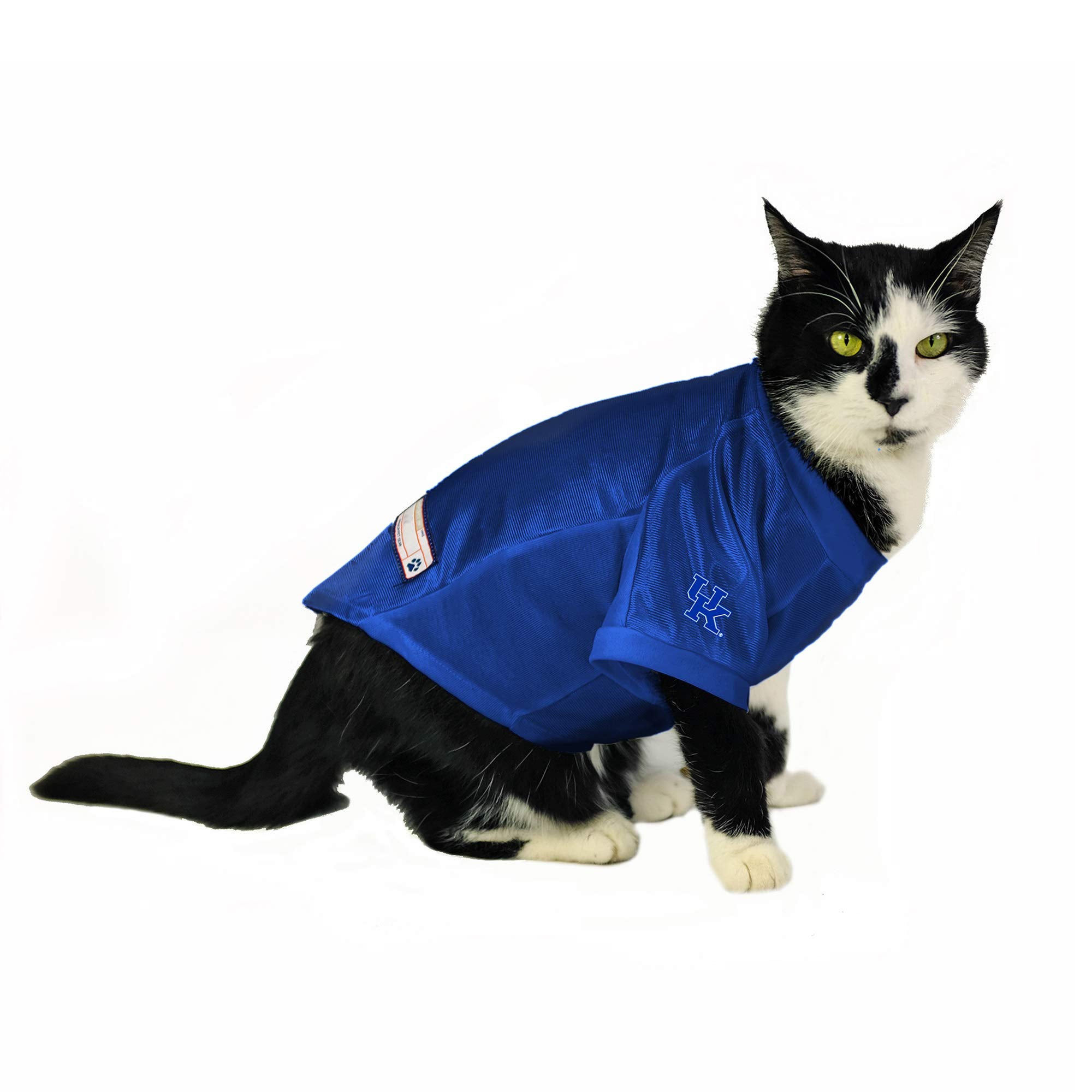 Kentucky Wildcats Pet Jersey Stretch Size L - Special Order